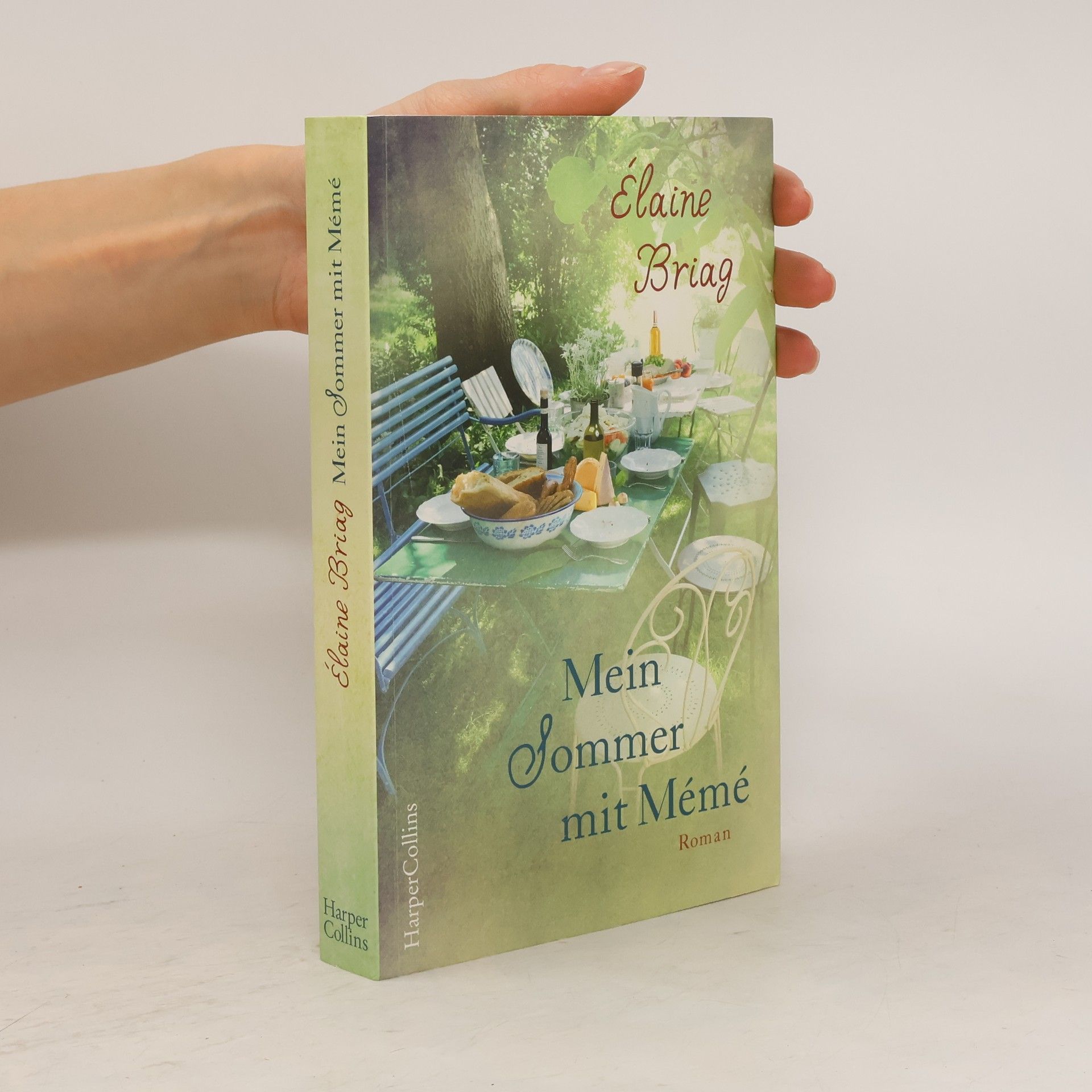 Elaine Briag Mein Sommer mit Mémé
