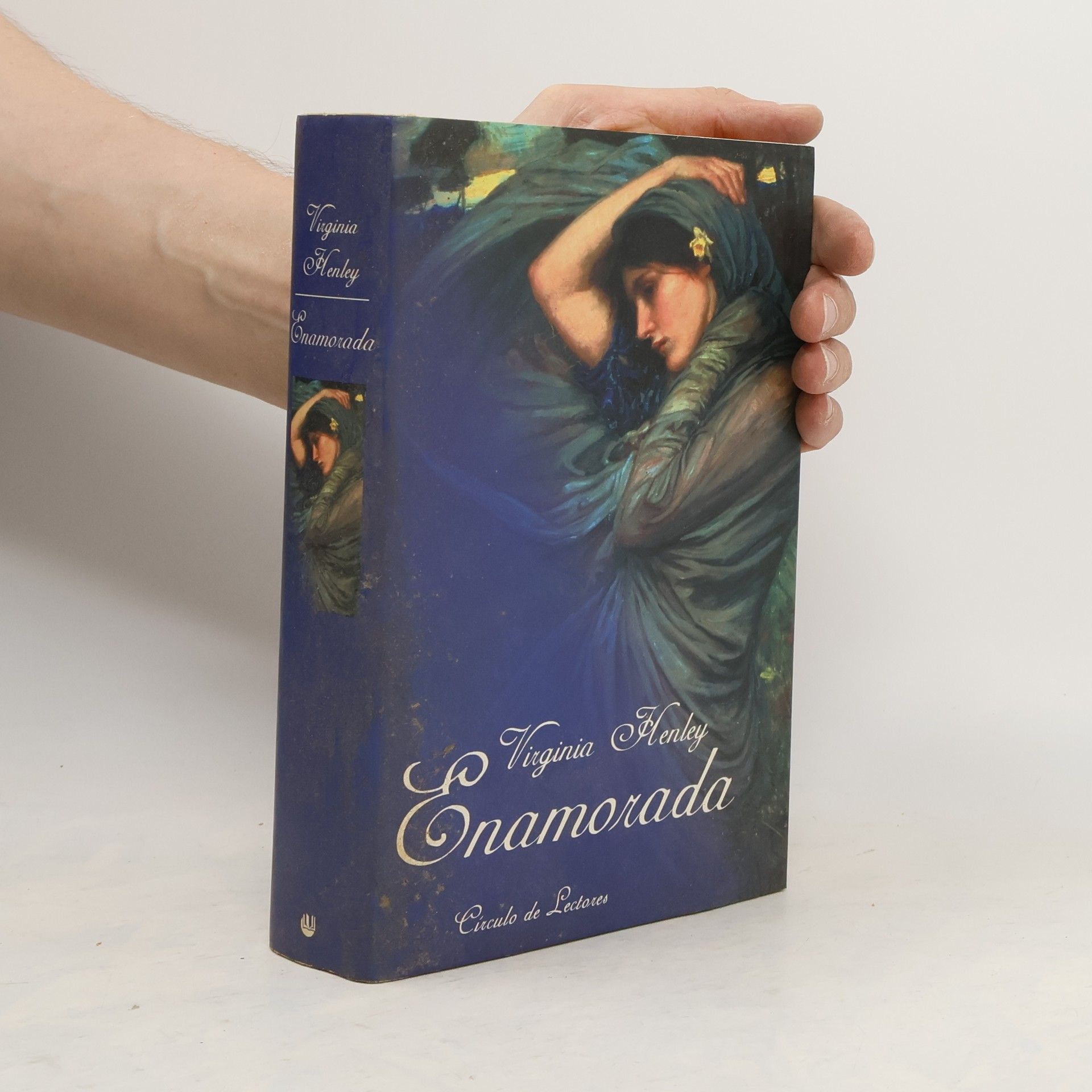 Virginia Henley Enamorada