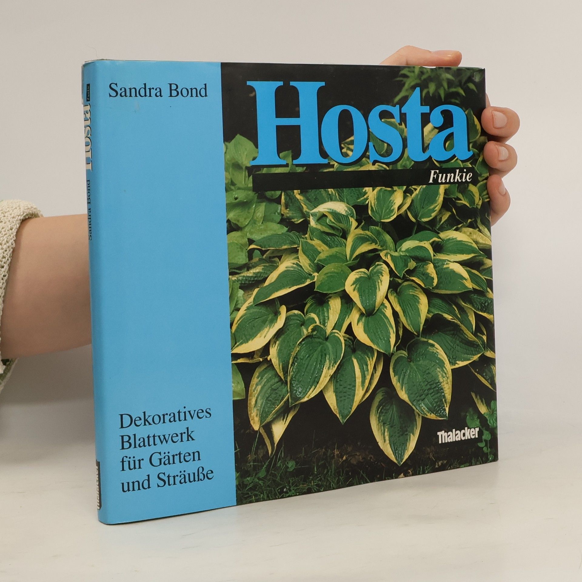 Sandra Bond Hosta, Funkie