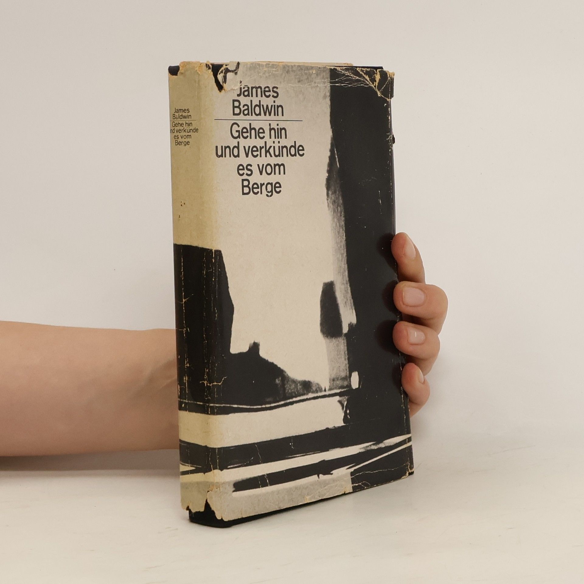James Baldwin Gehe hin und verkünde es vom Berge