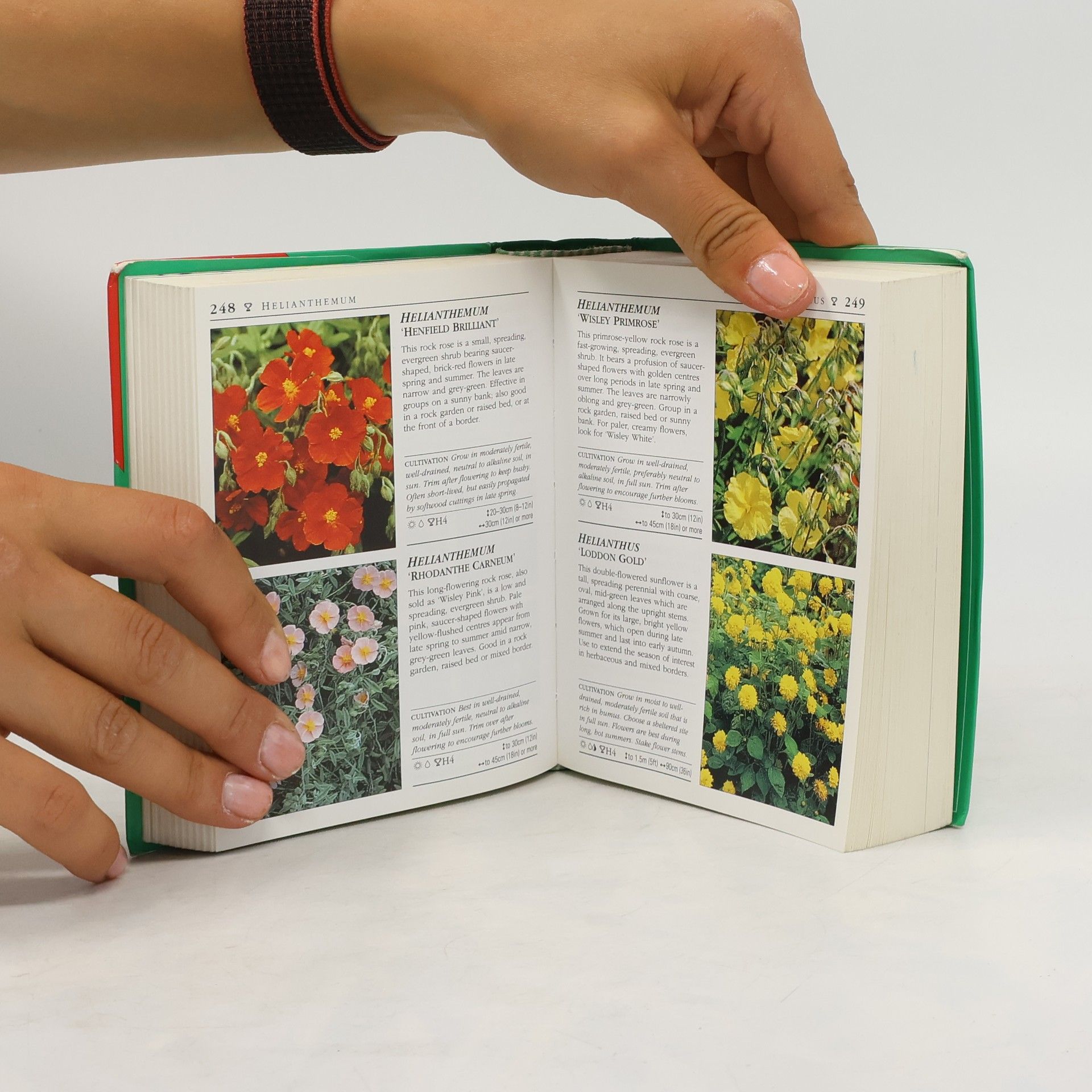 Kolektiv autorů RHS good plant guide.