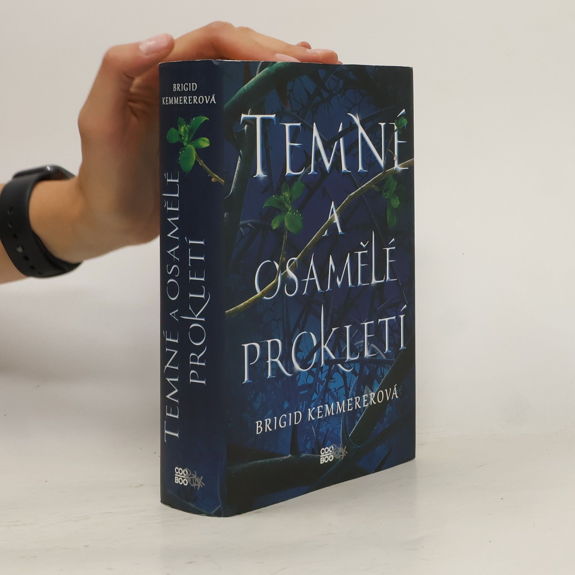 Brigid Kemmererová Temné a osamělé prokletí