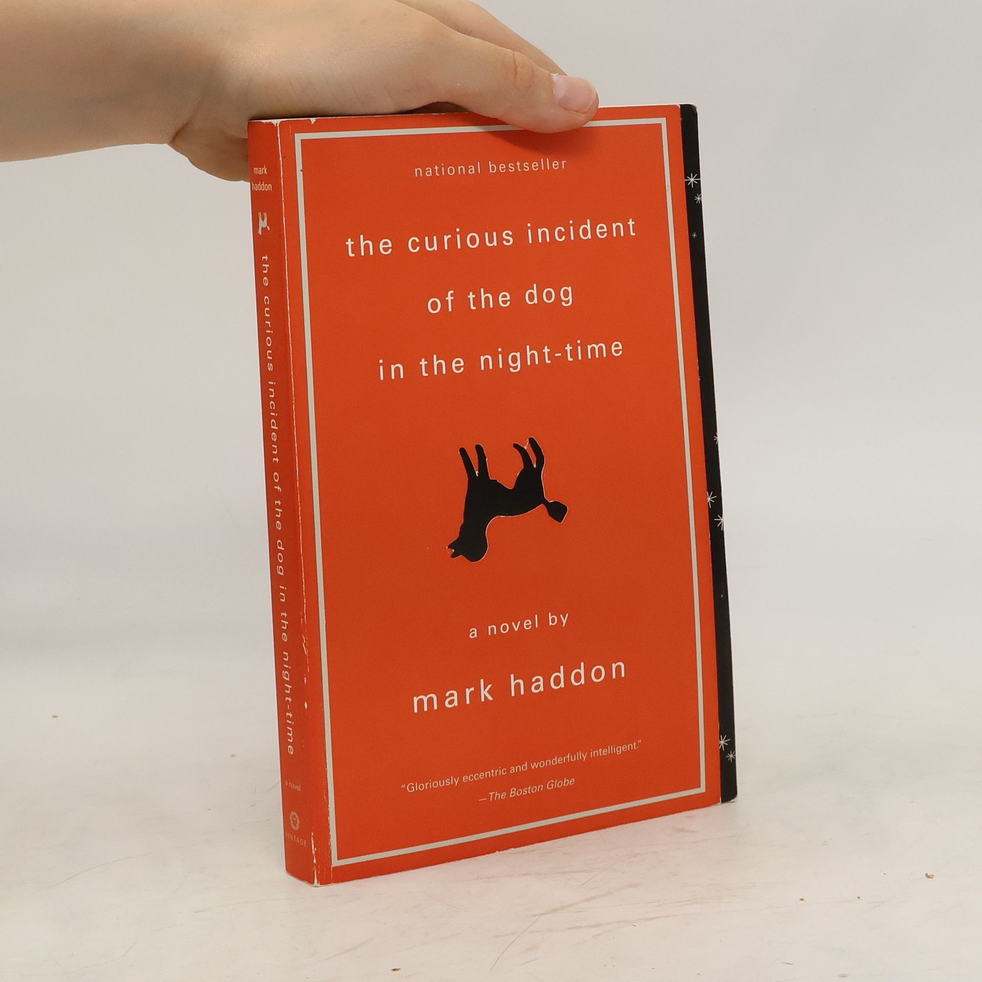 Mark Haddon The Curious Incident of the Dog in the Night-time