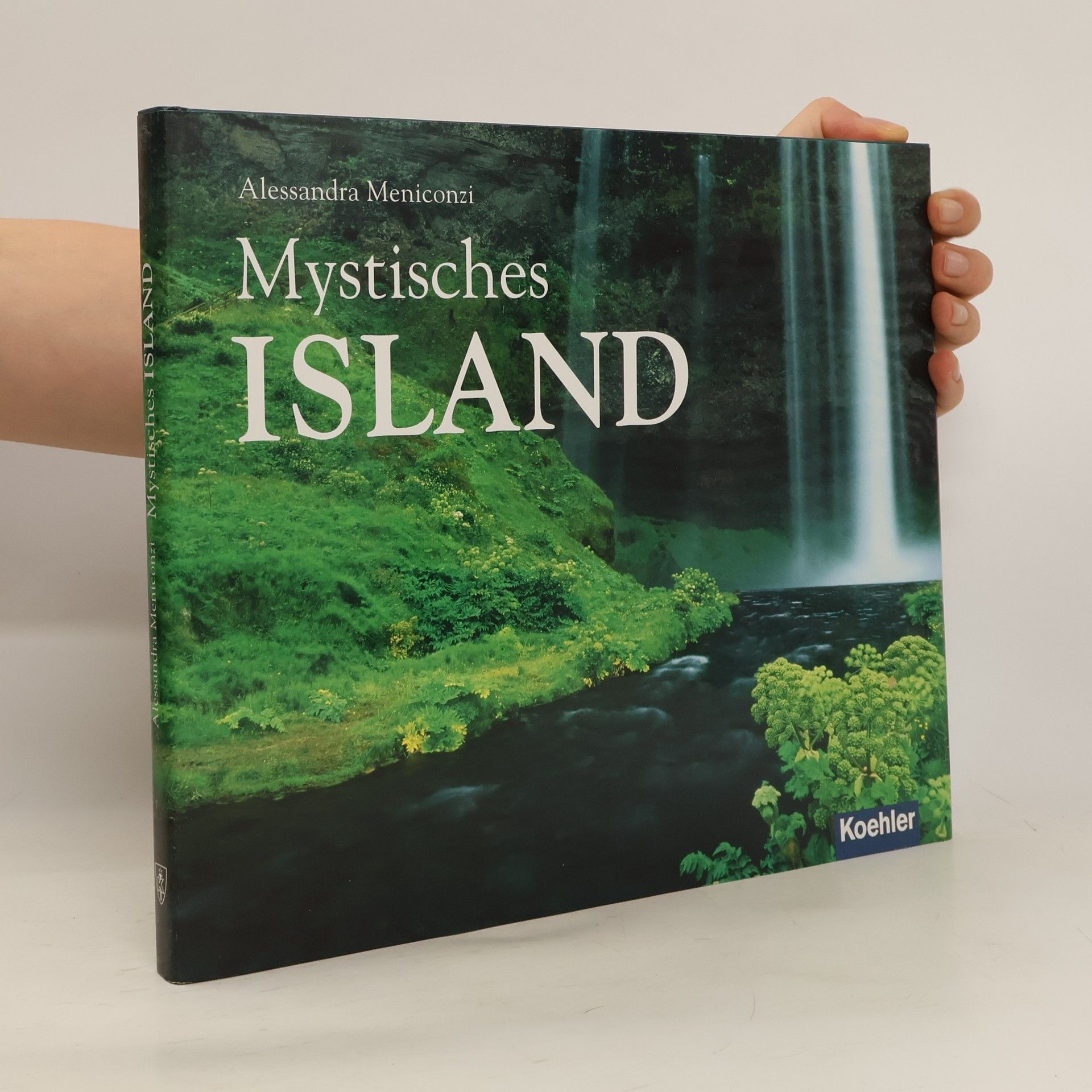Meniconzi Alessandra Mystisches Island