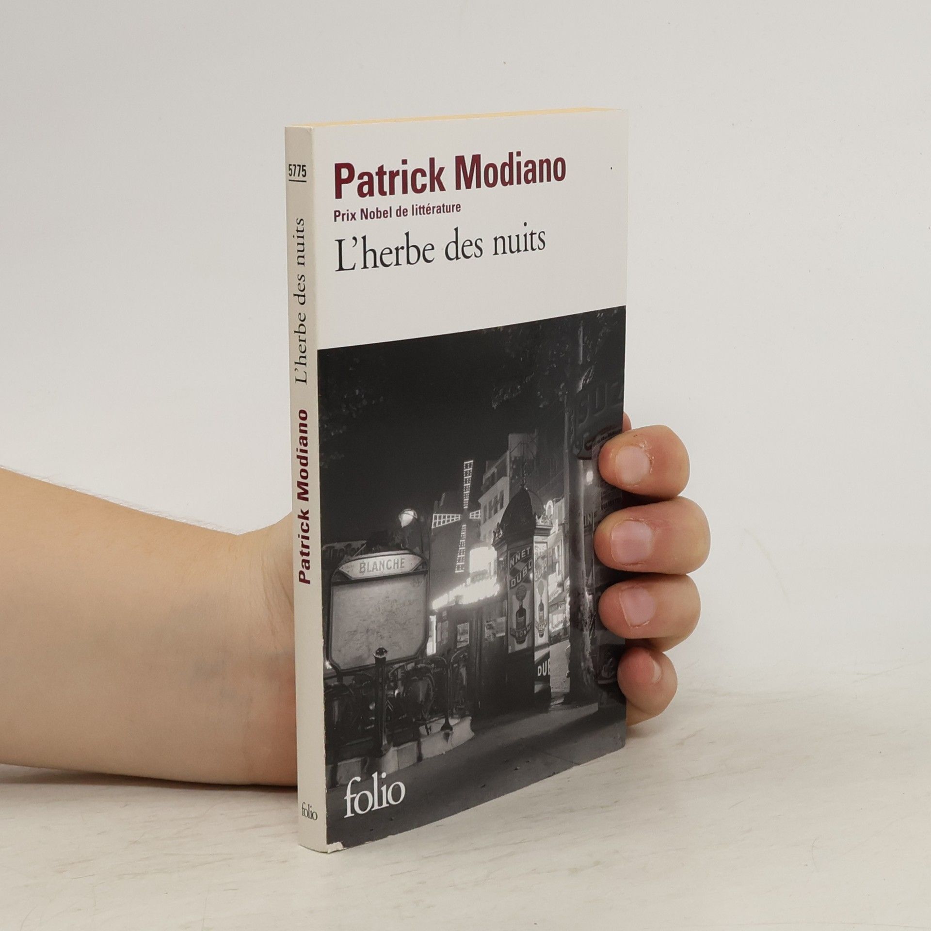 Patrick Modiano L'herbe des nuits