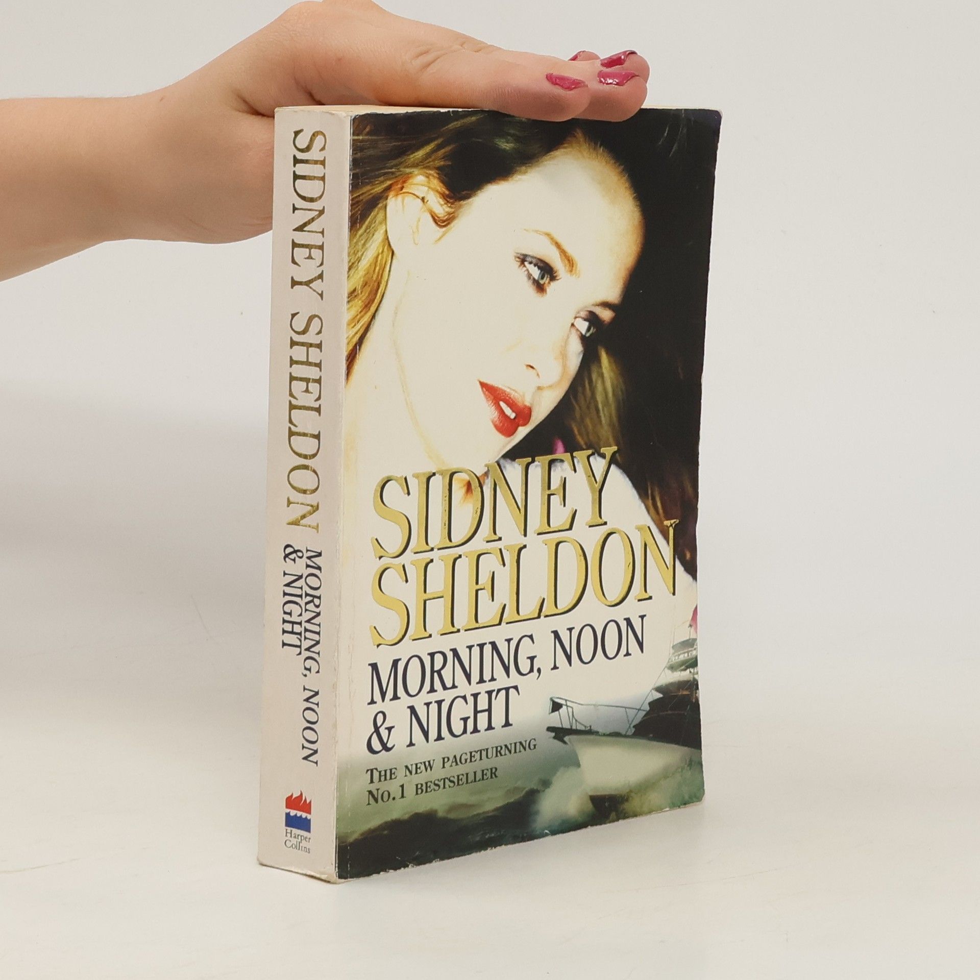 Sidney Sheldon Morning, Noon & Night