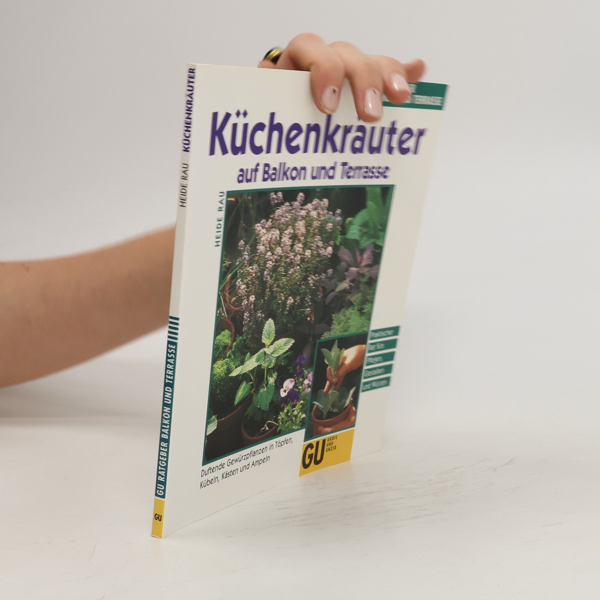 Heide Rau Küchenkräuter in Töpfen, Kübeln und Kästen