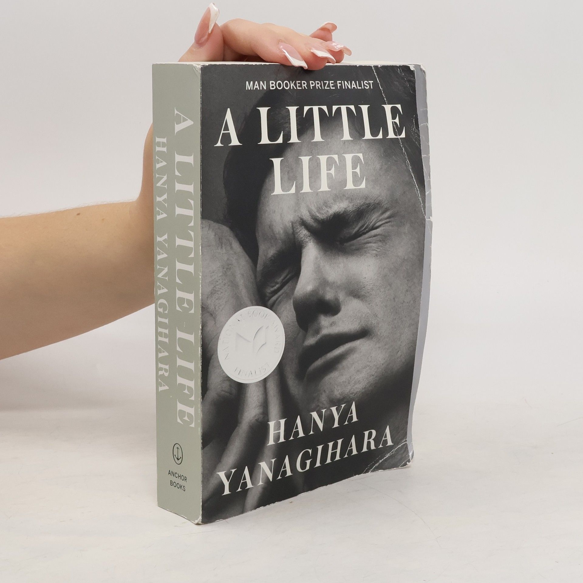 Hanya Yanagihara A Little Life