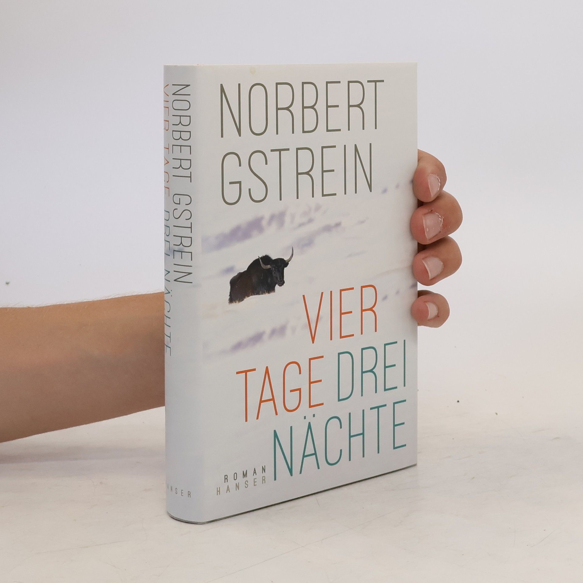 Norbert Gstrein Vier Tage, drei Nächte