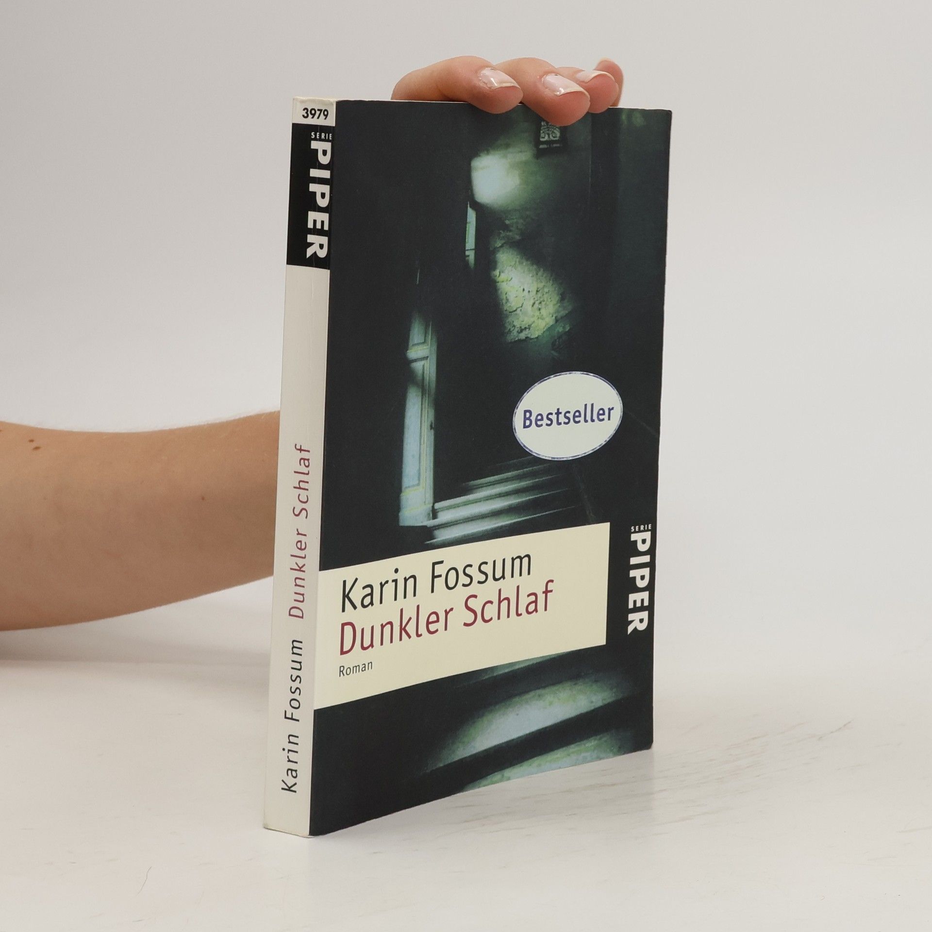 Karin Fossum Dunkler Schlaf