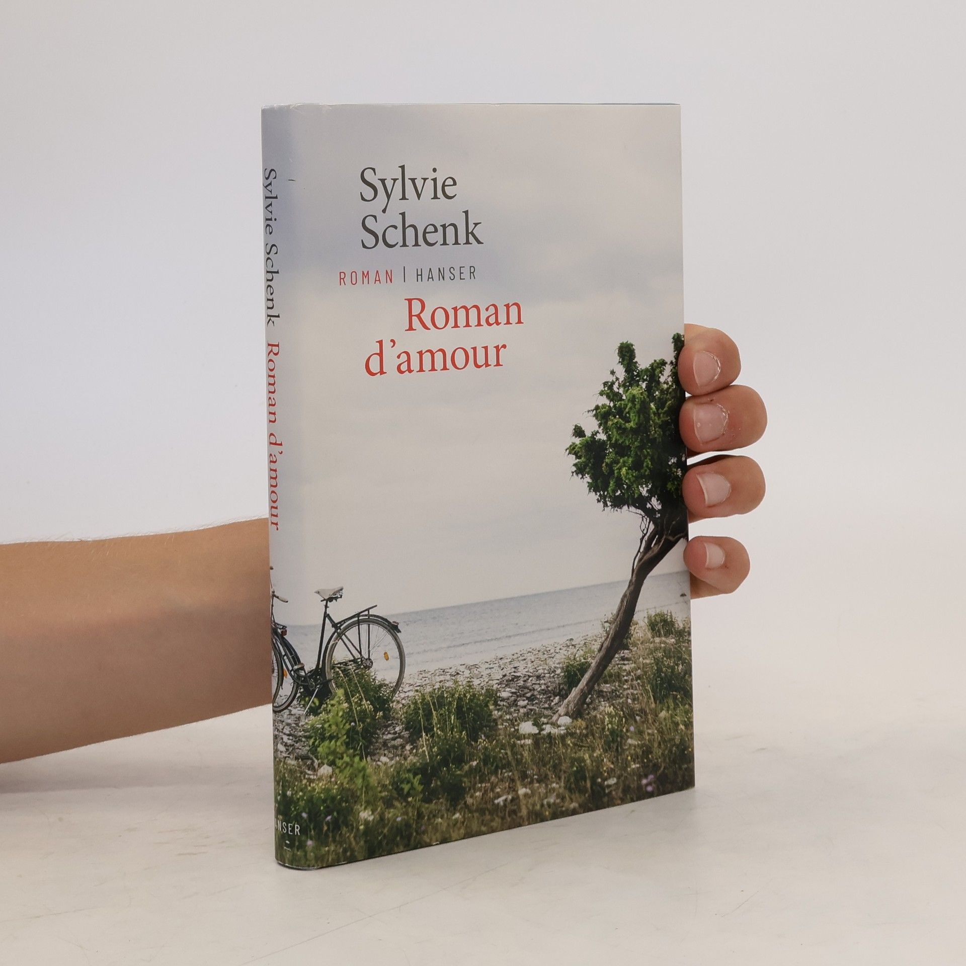 Sylvie Schenk Roman d'amour