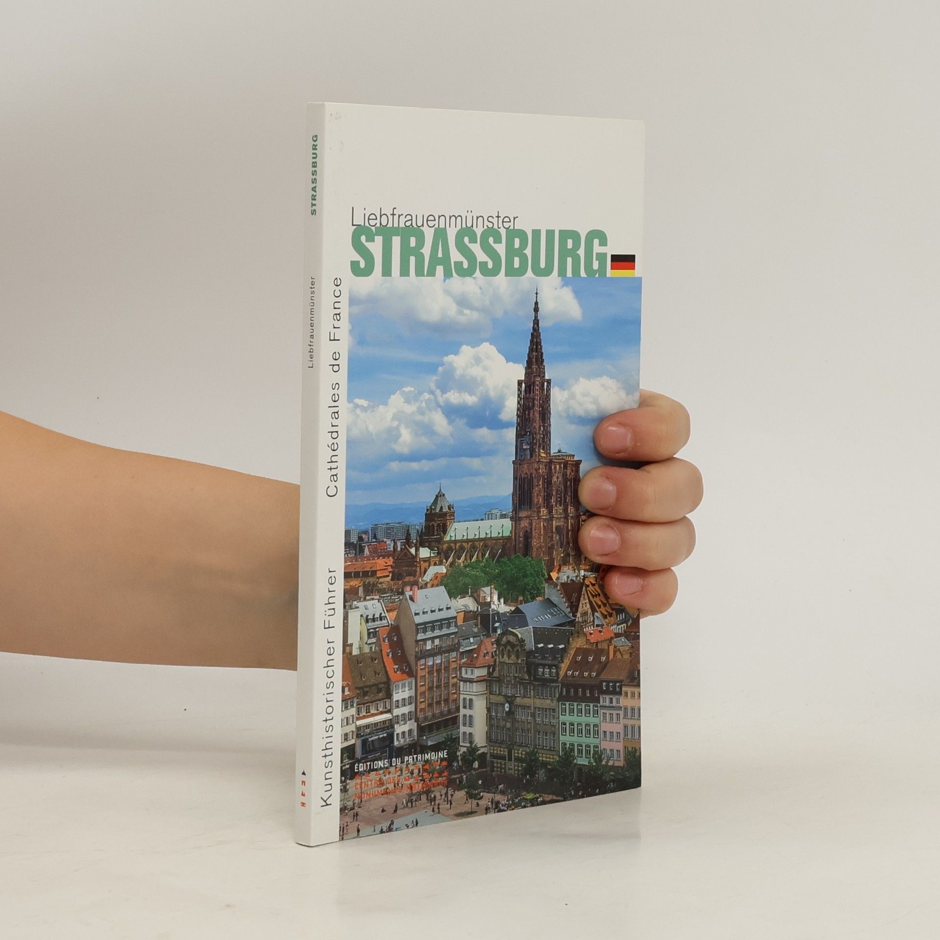 Alain Villes Liebfrauenmünster Strassburg
