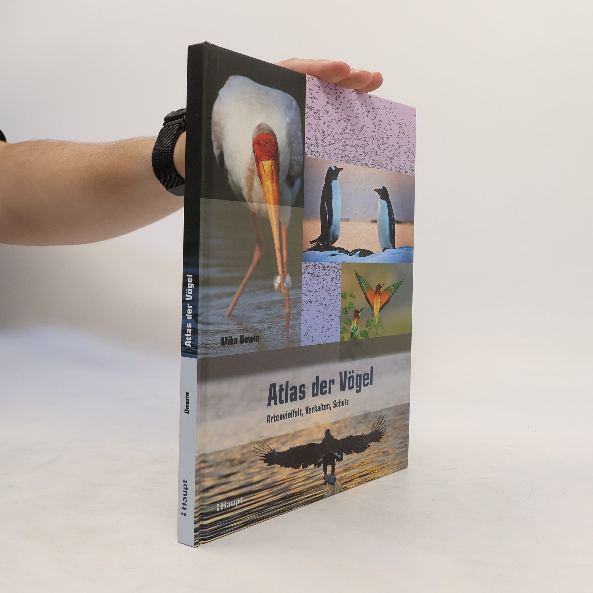 Mike Unwin Atlas der Vögel