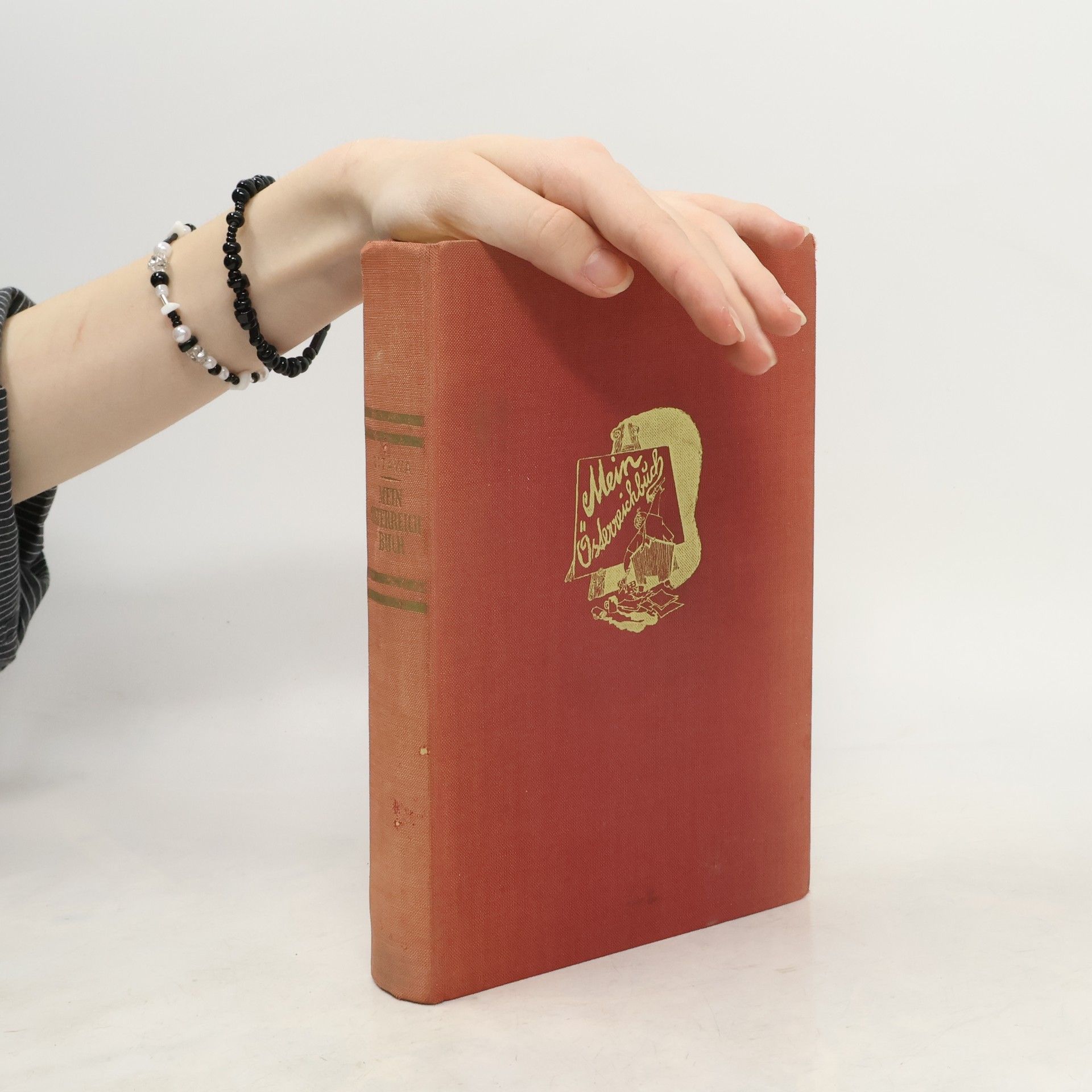 Theodor Ottawa Mein Österreichbuch