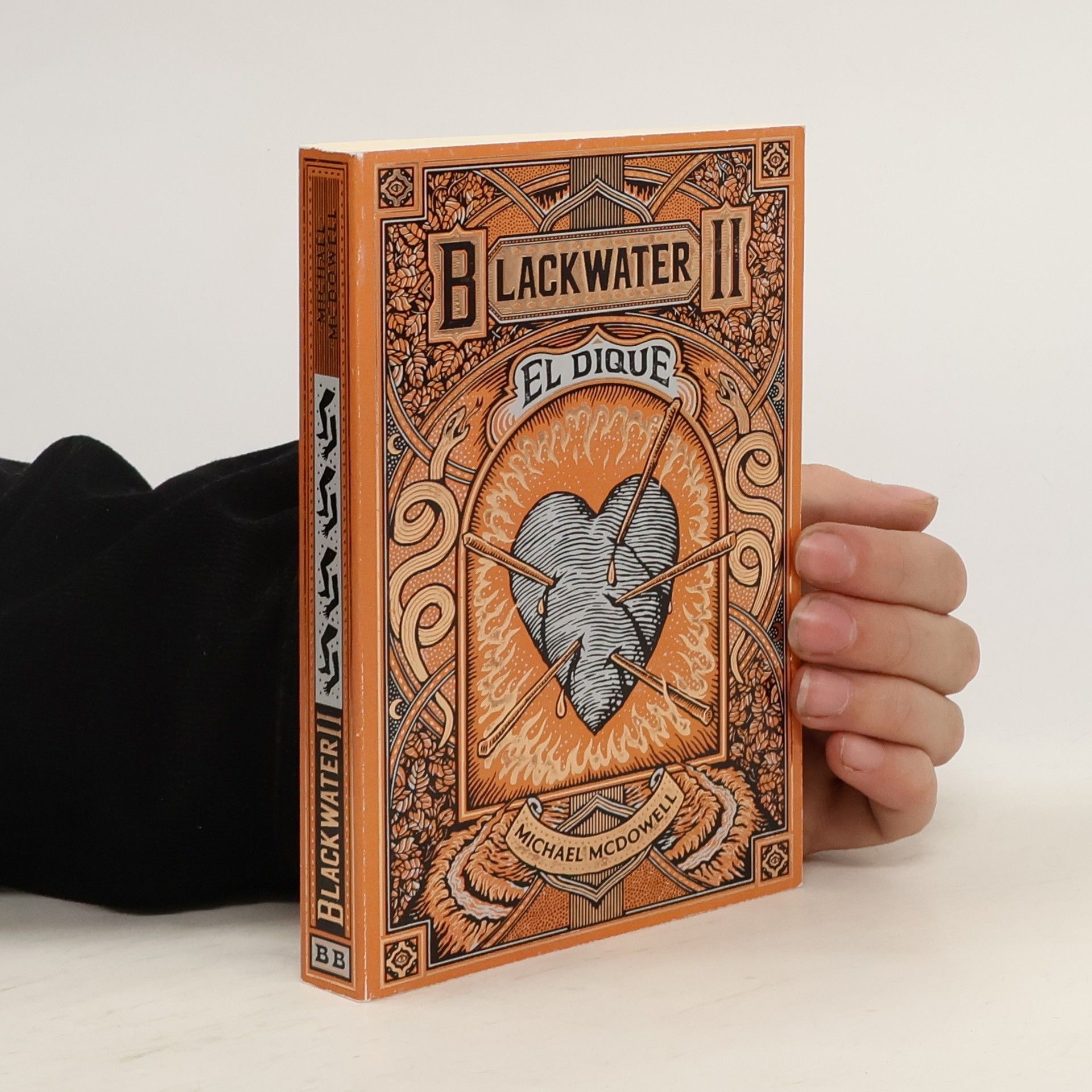 Michael McDowell Blackwater II. El dique