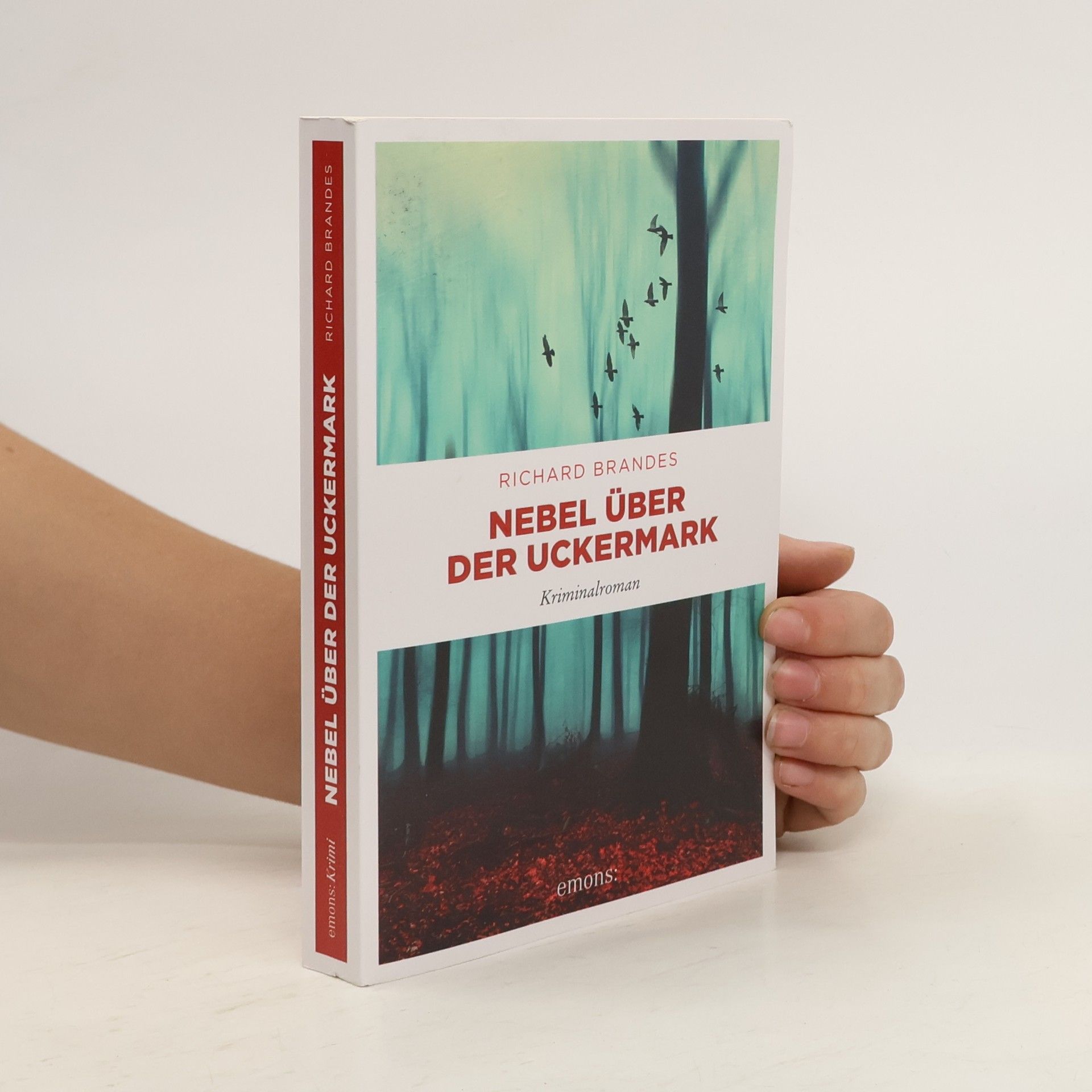 Richard Brandes Nebel über der Uckermark