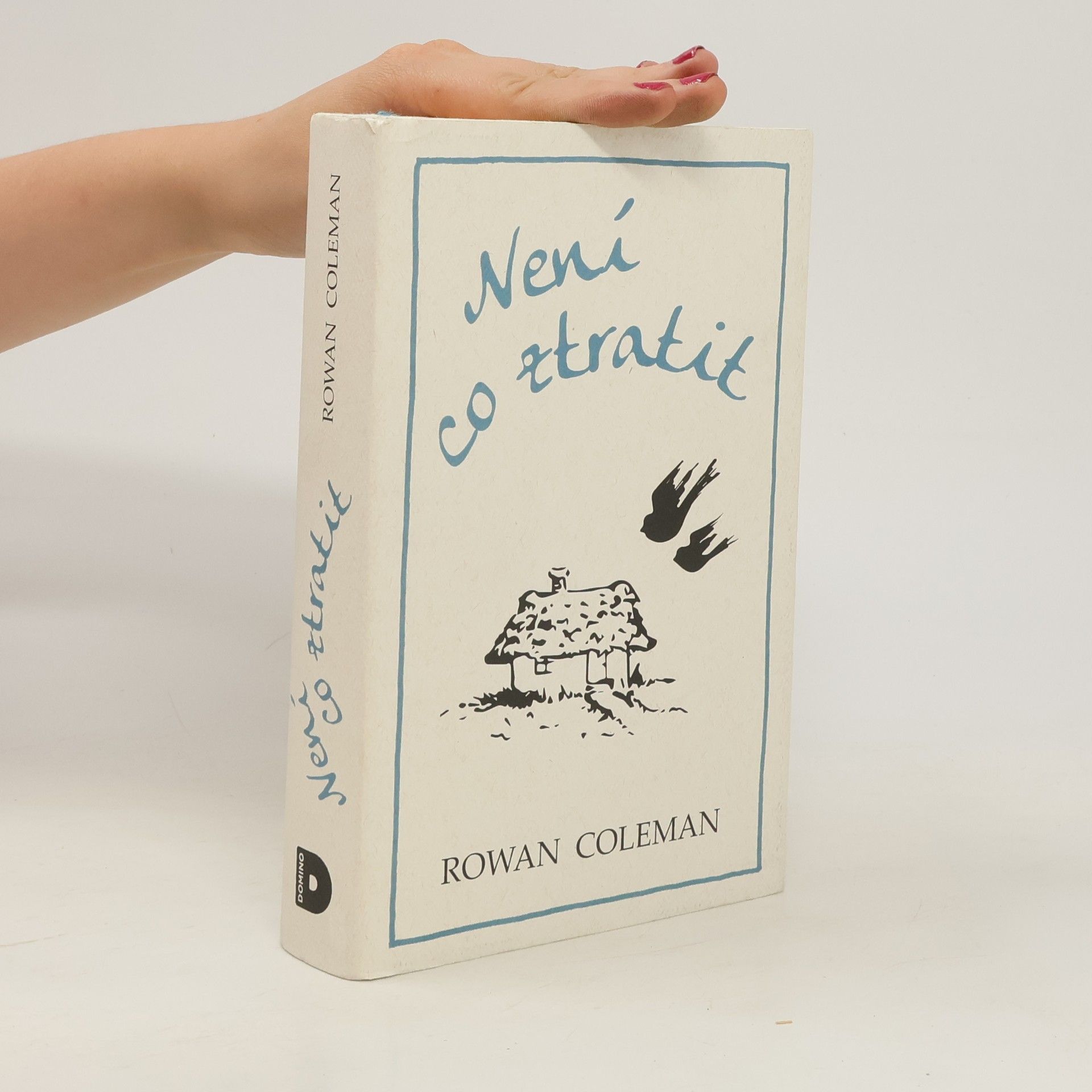 Rowan Coleman Není co ztratit