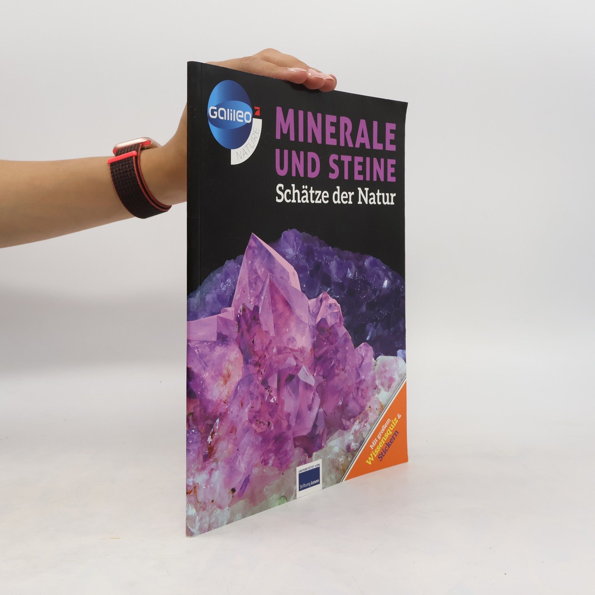 Collectif d'auteurs Minerale und Steine