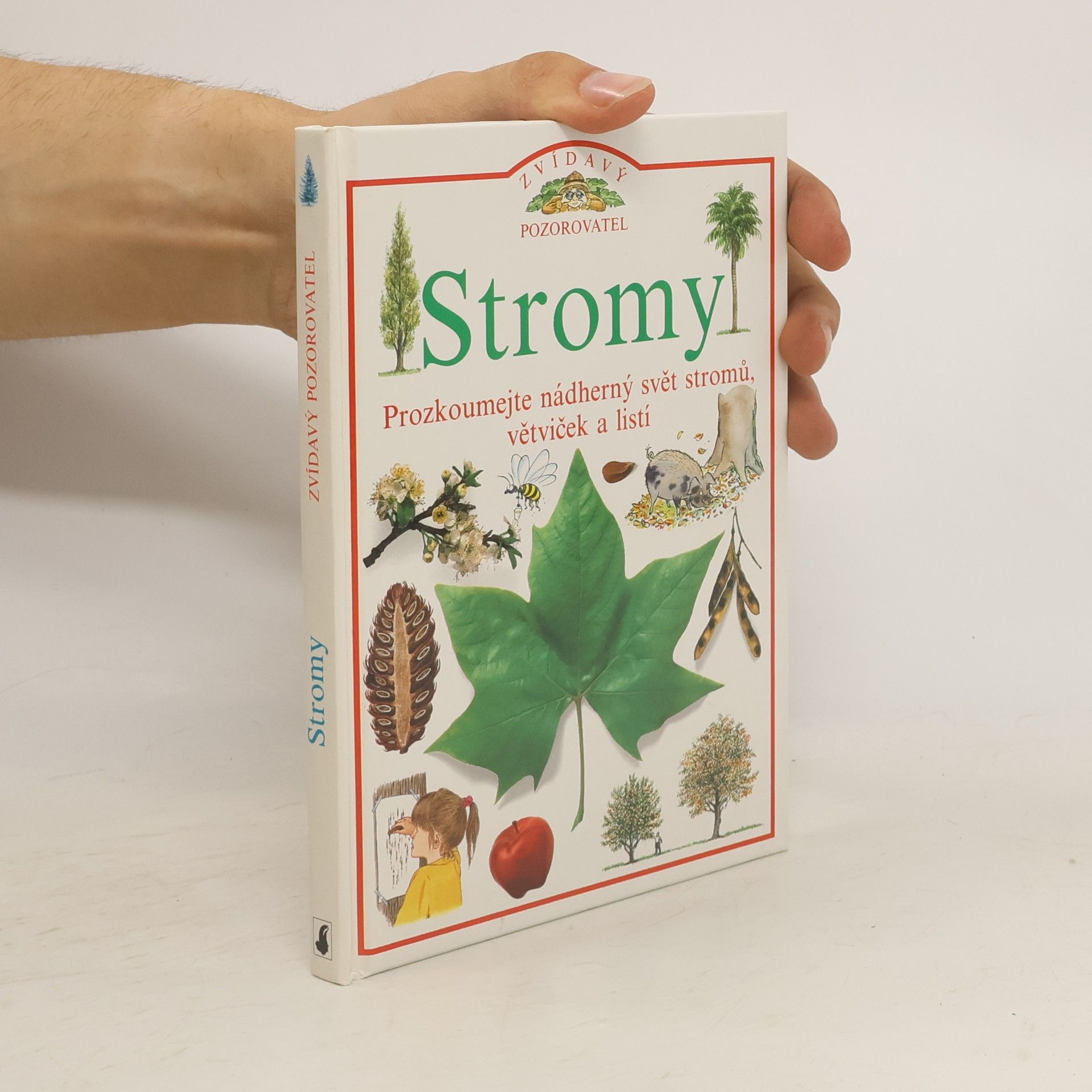 Linda Gamlin Stromy