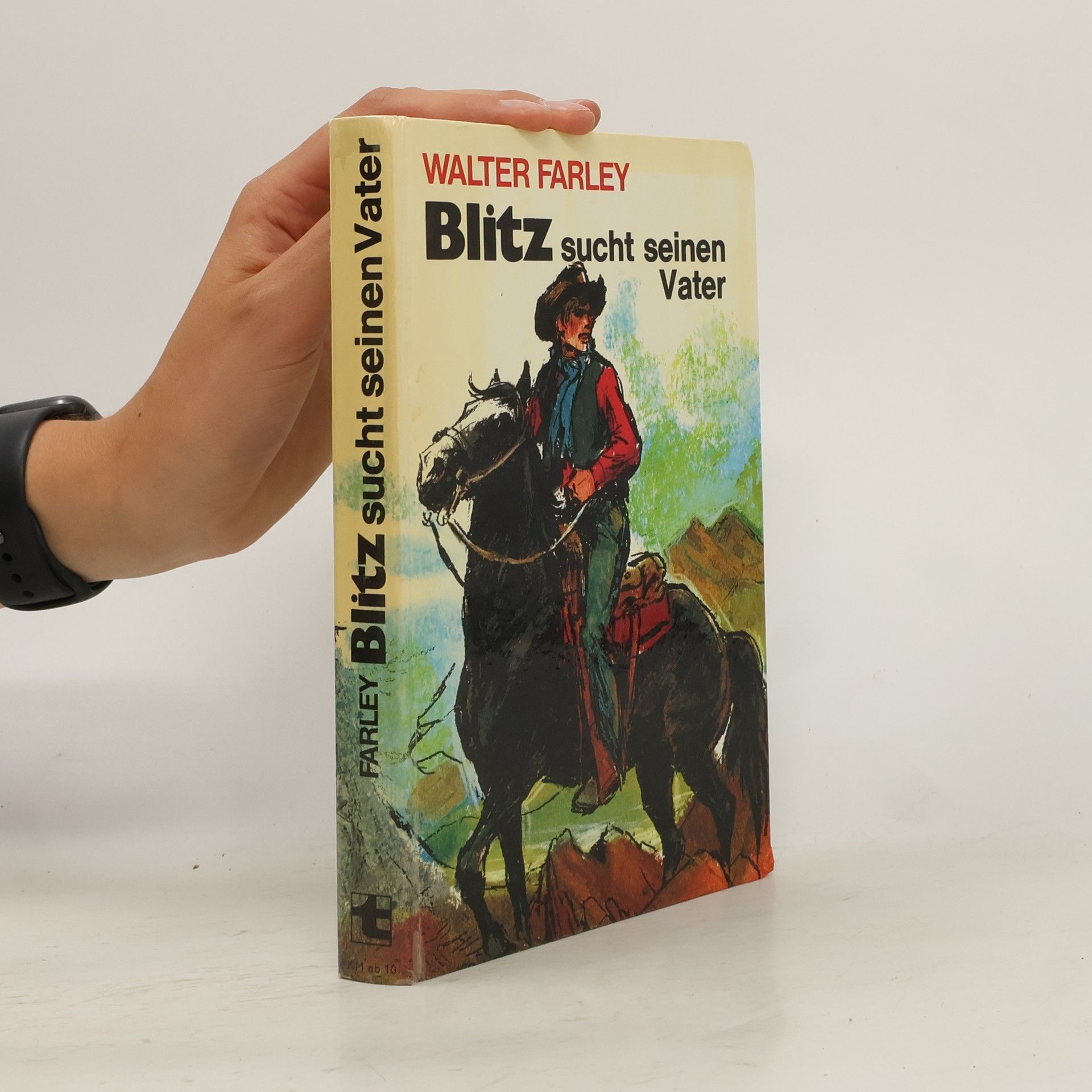 Walter Farley Blitz sucht seinen Vater