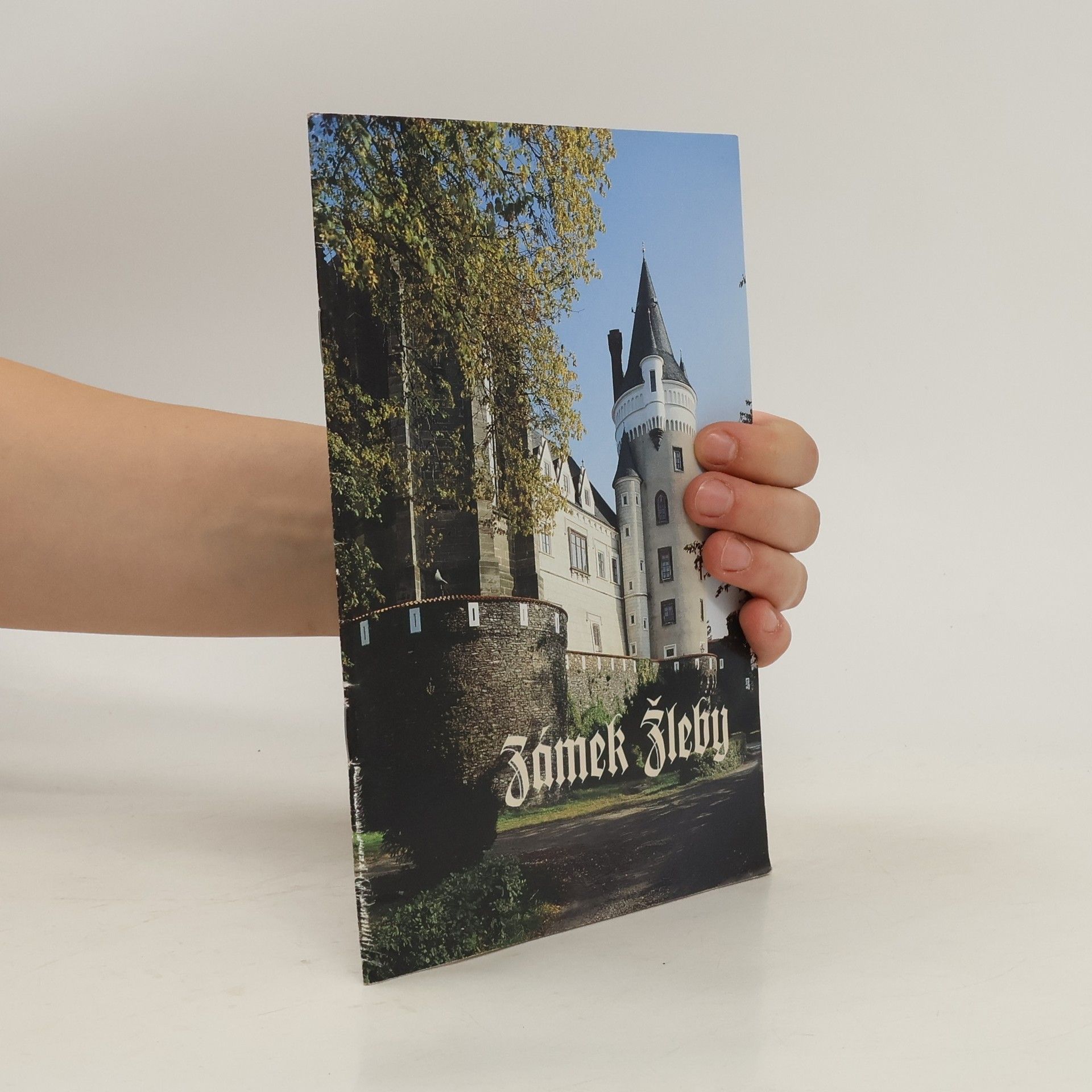 Autores varios Zámek Žleby