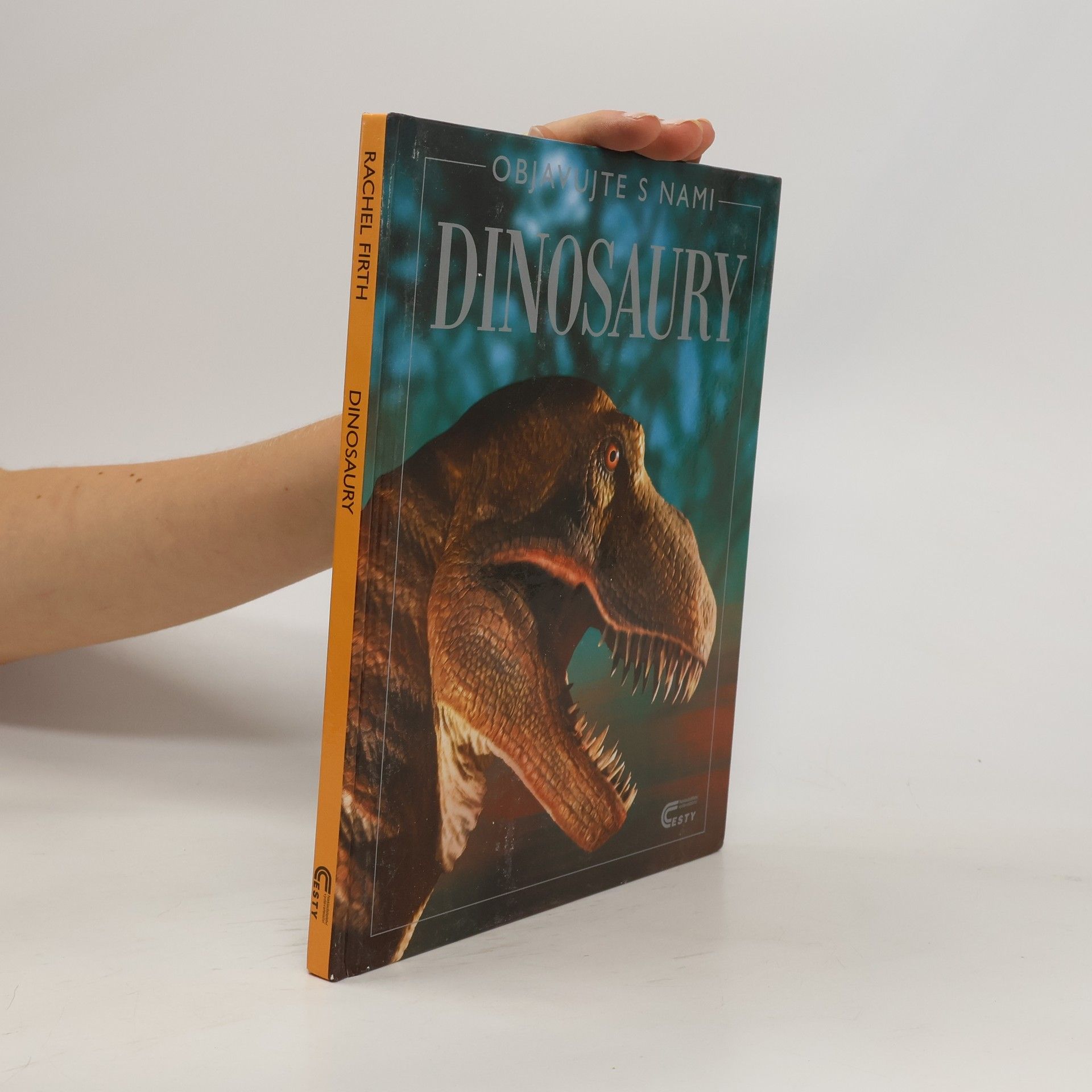 Rachel Firth Dinosaury