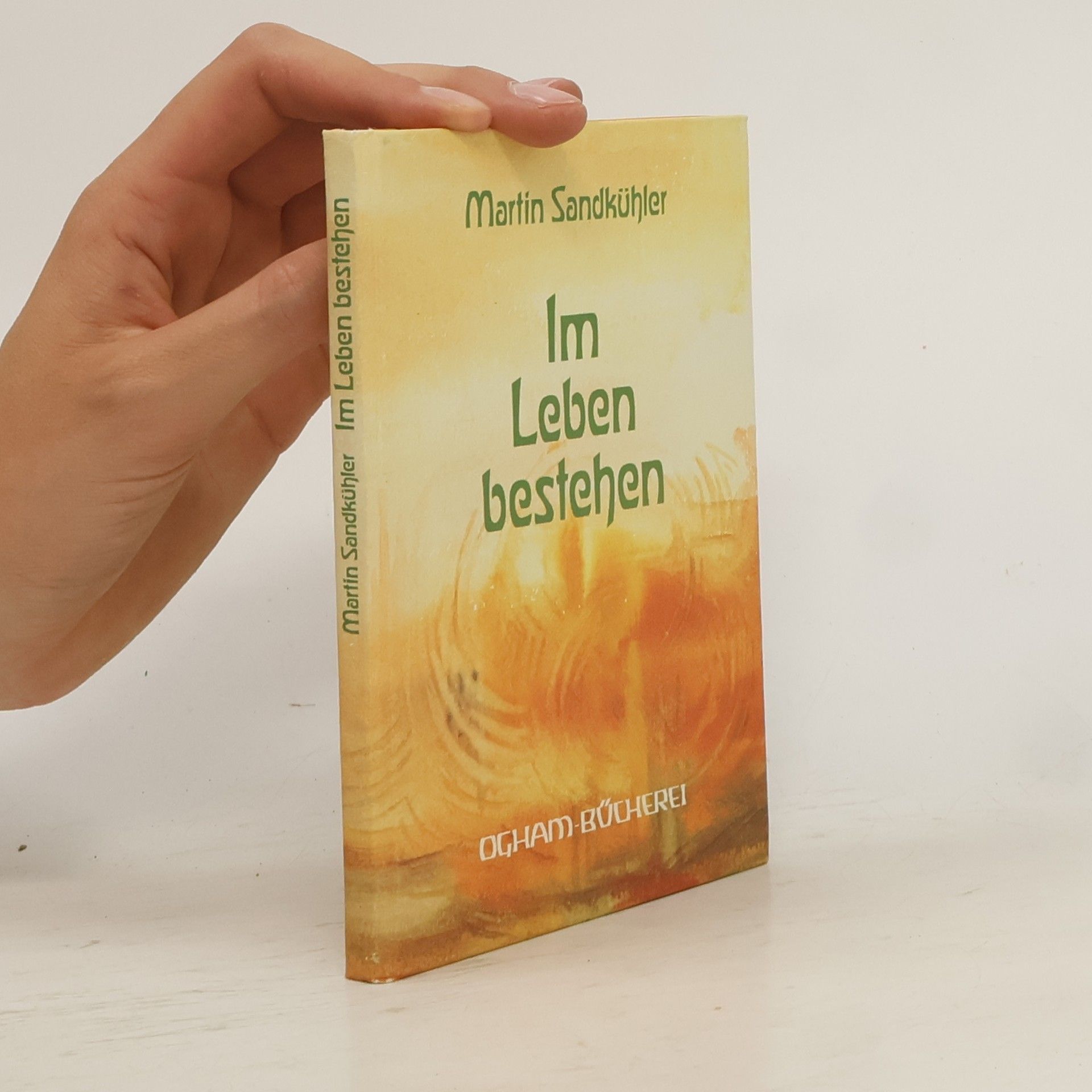 Martin Sandkühler Im Leben bestehen