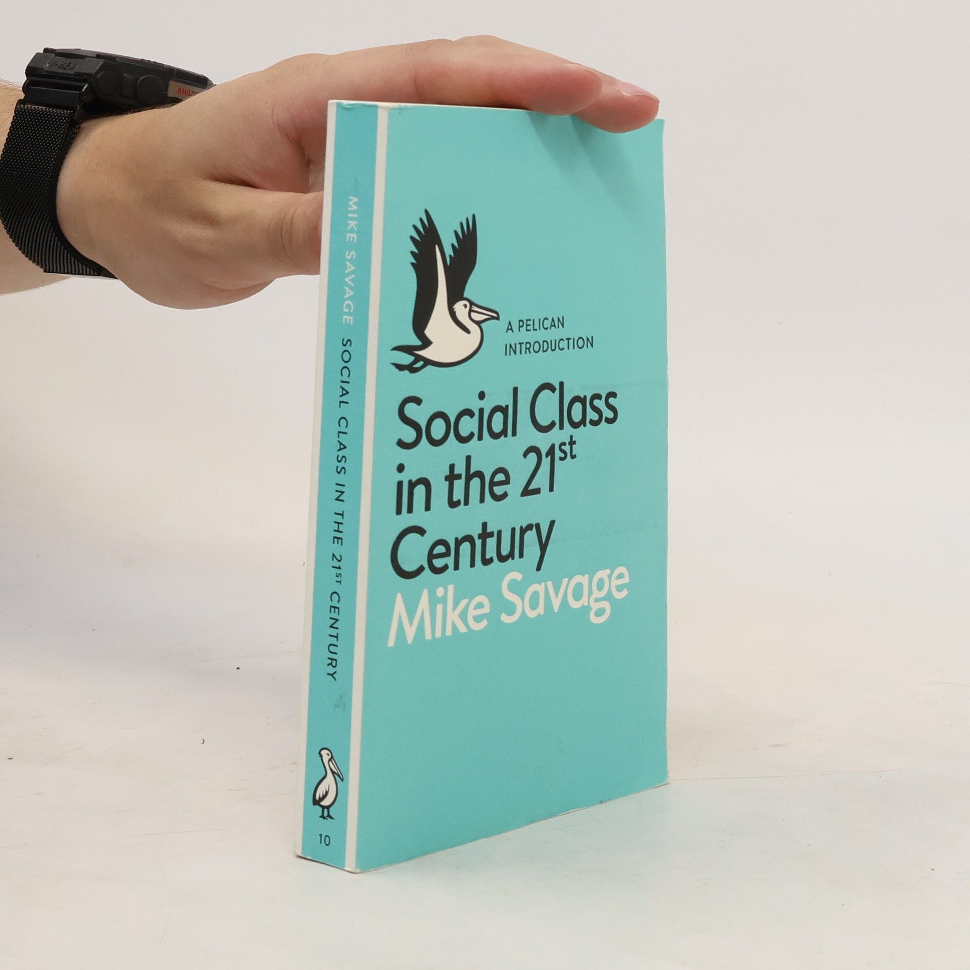 Michael Savage Social class in the 21st century: a Pelican introduction