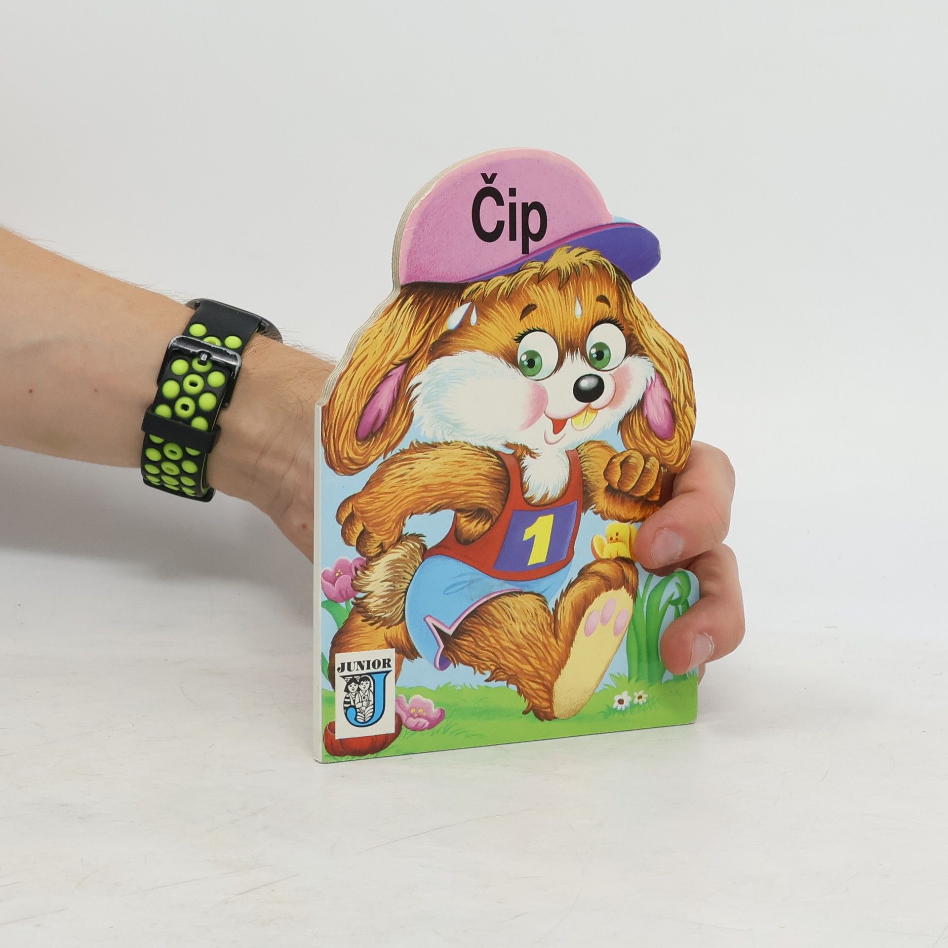 kolektiv Čip
