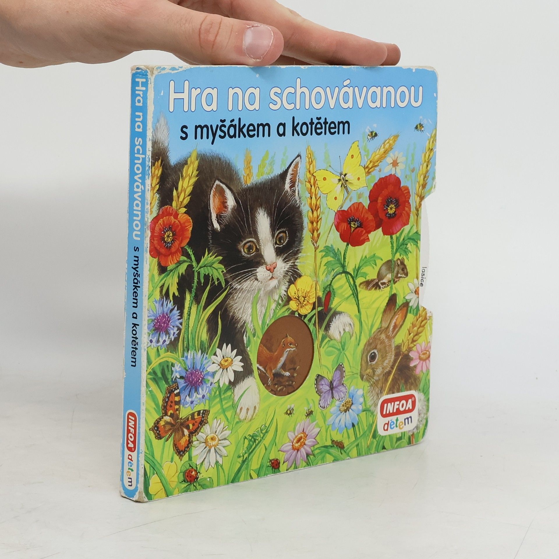 Collective Hra na schovávanou s myšákem a kotětem