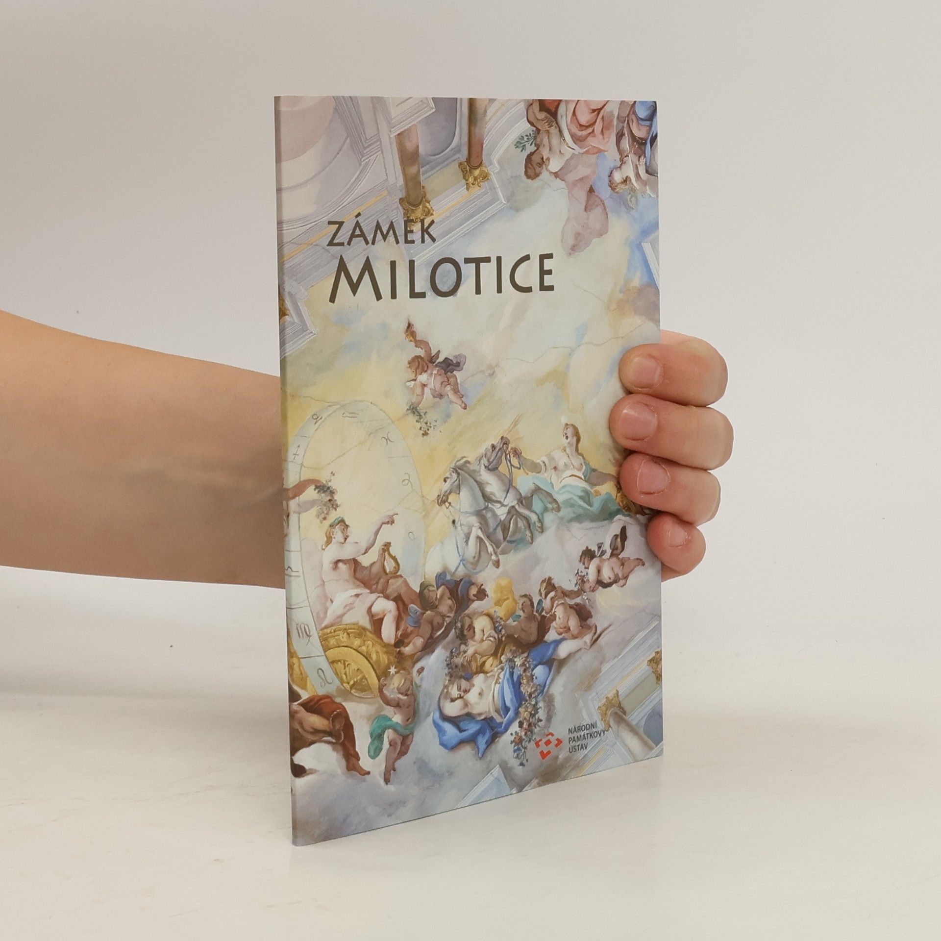 Václav Lunga Zámek Milotice