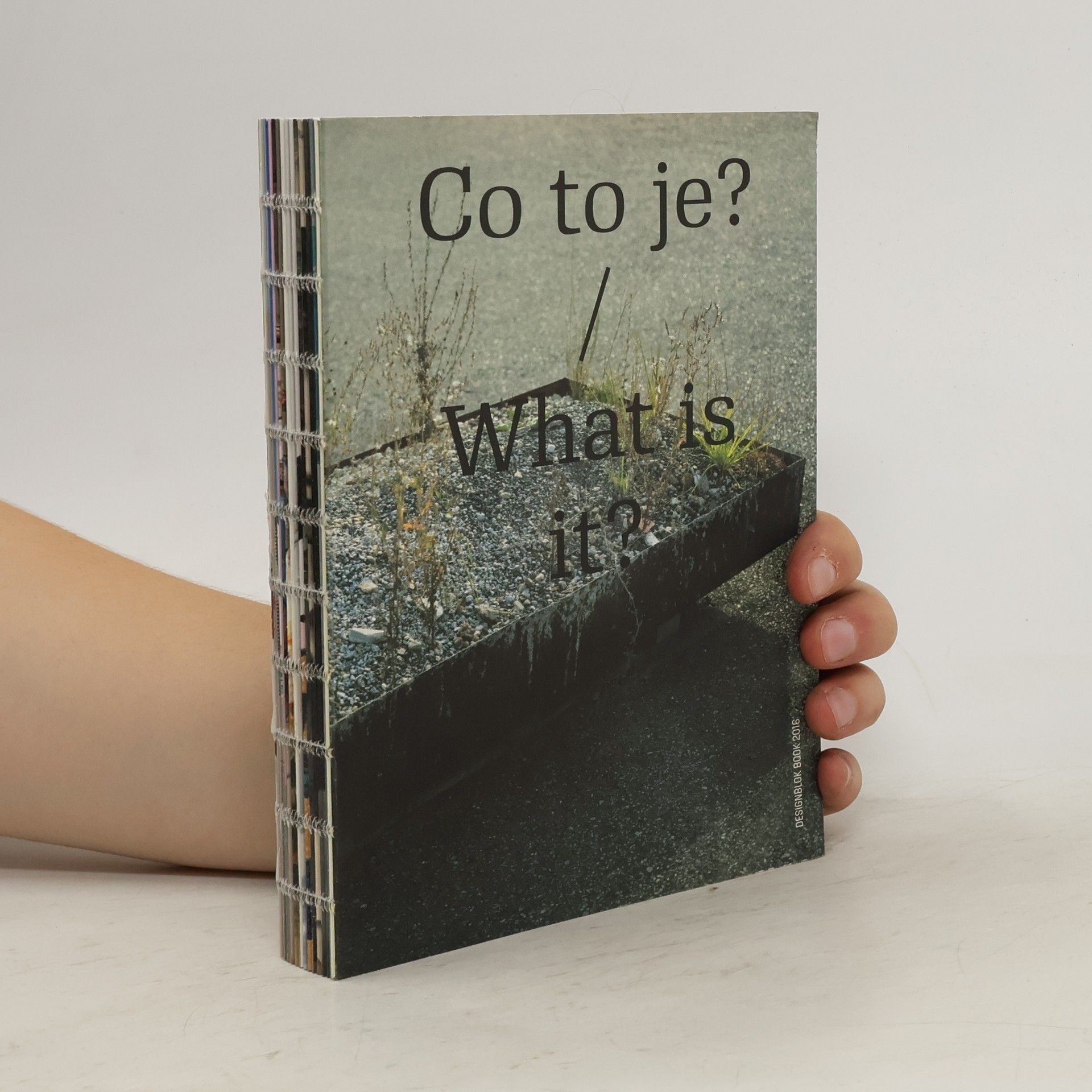 Jiří Macek Co to je? / What is it: Designblok Book 2016