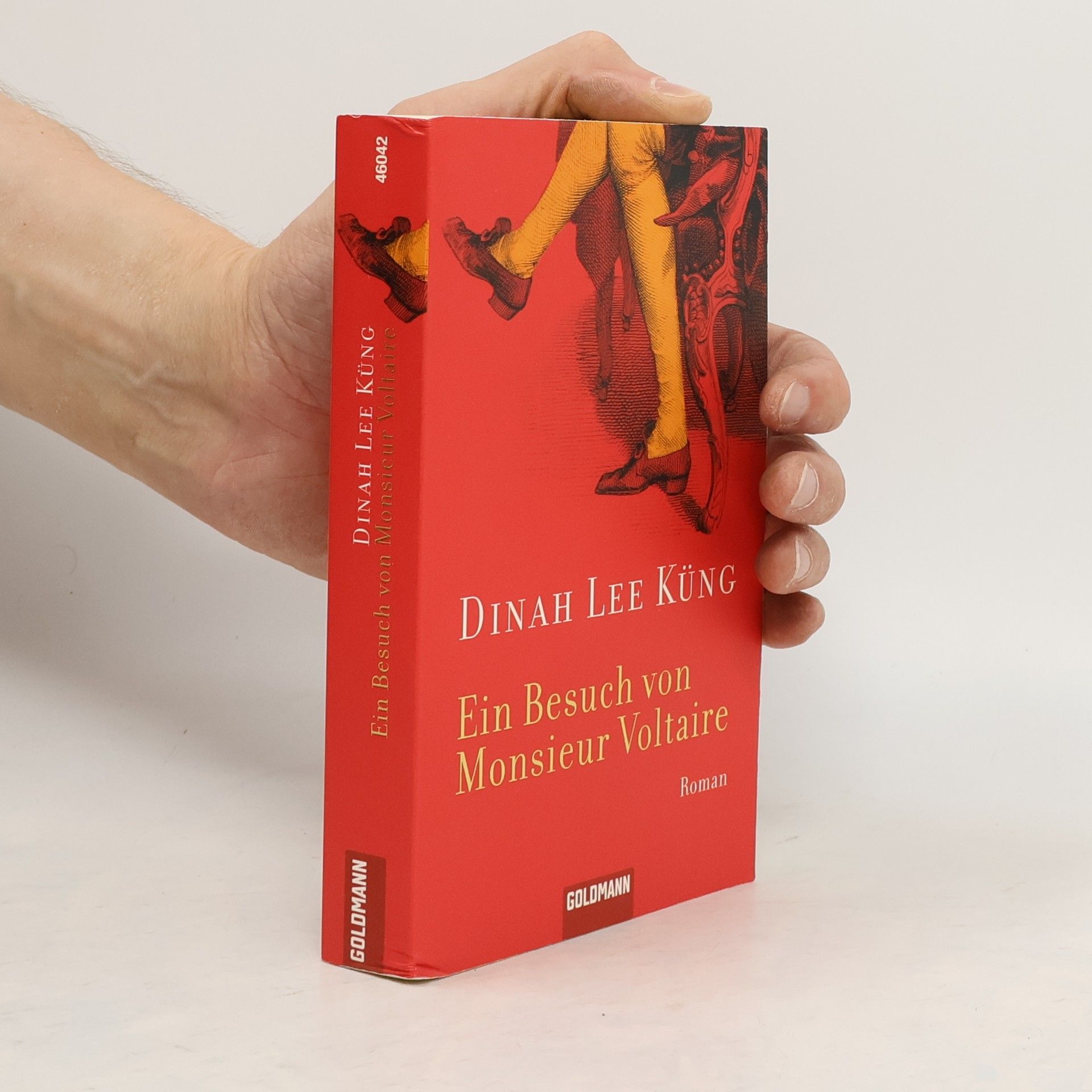 Dinah Lee Küng Ein Besuch von Monsieur Voltaire
