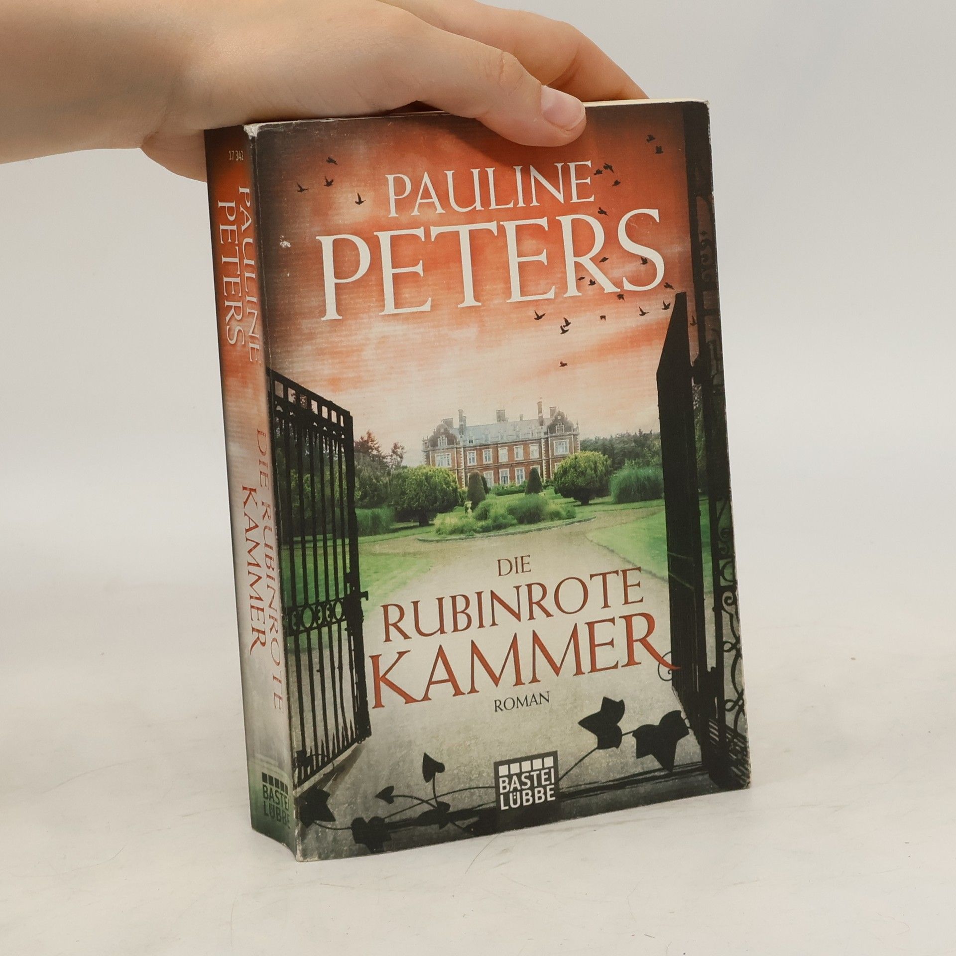 Pauline Peters Die rubinrote Kammer