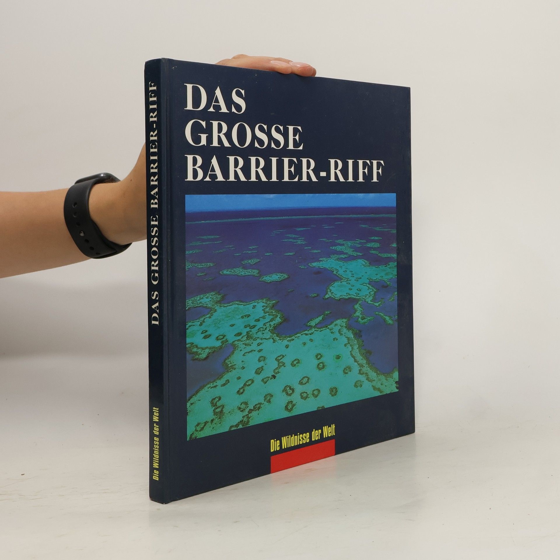 kolektiv Das Grosse Barrier-Riff