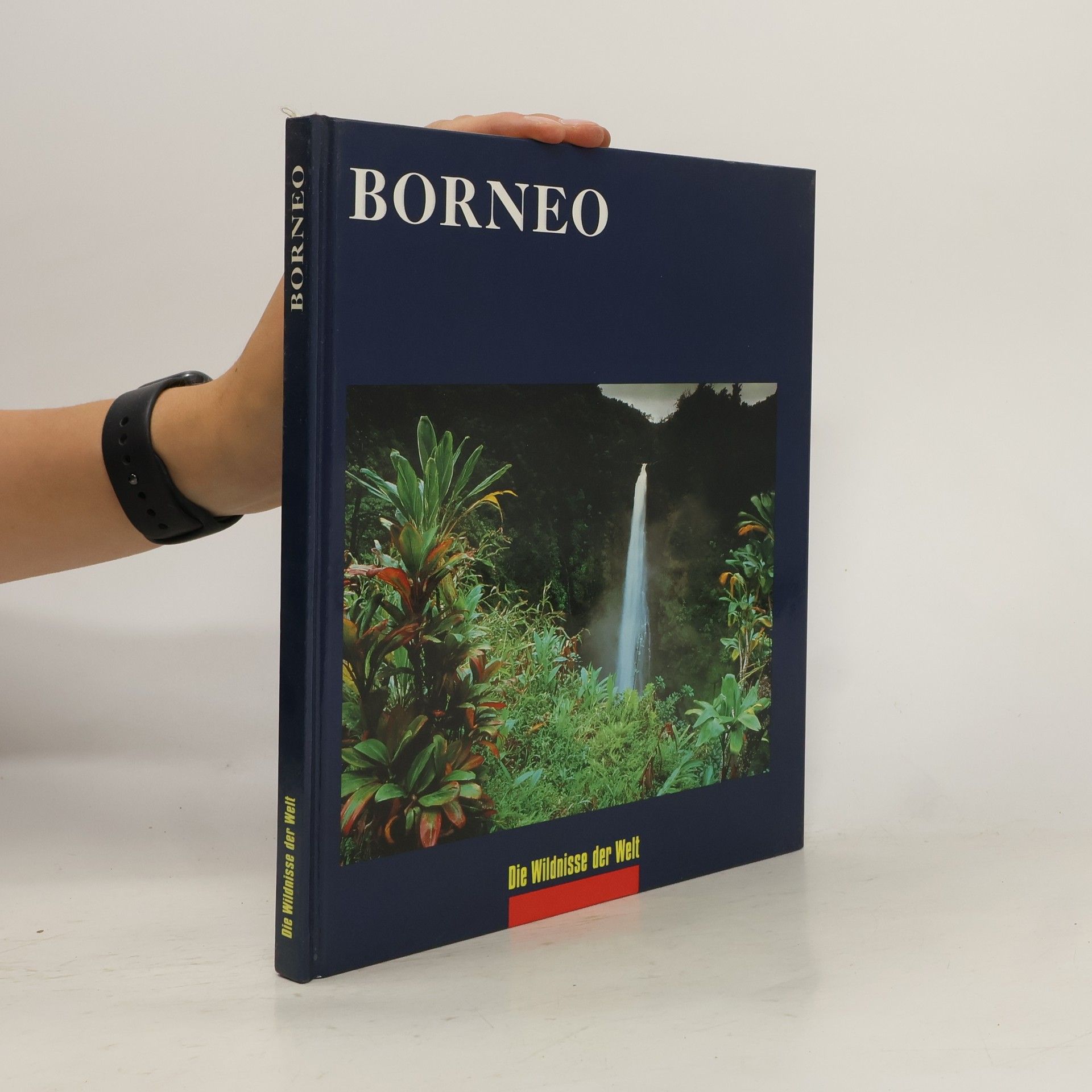 John Mackinnon Borneo. Die Wildnisse der Welt