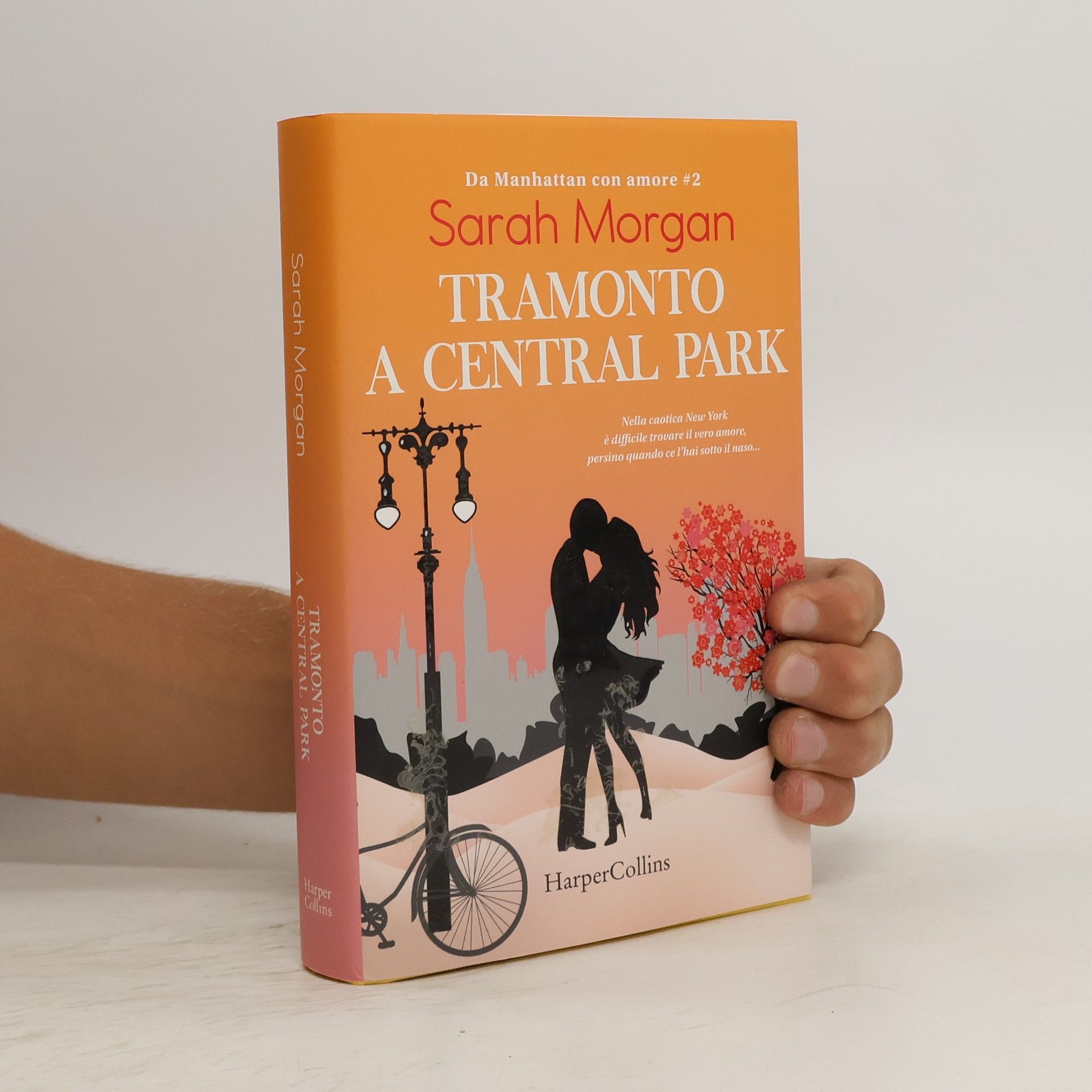 Sarah Morgan Tramonto a Central Park