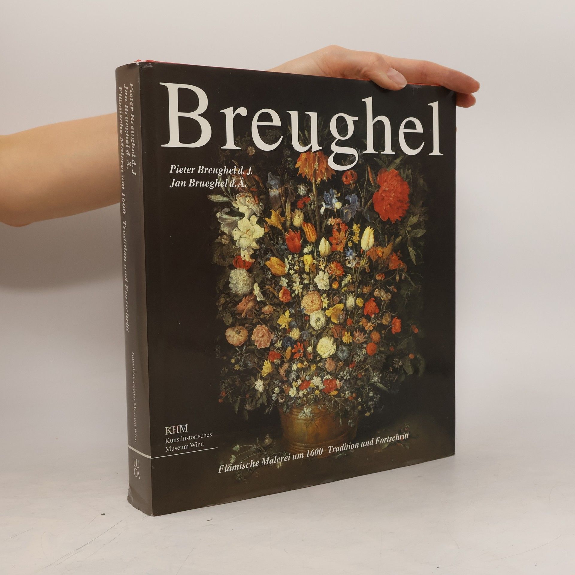 Kolektiv autorů Breughel