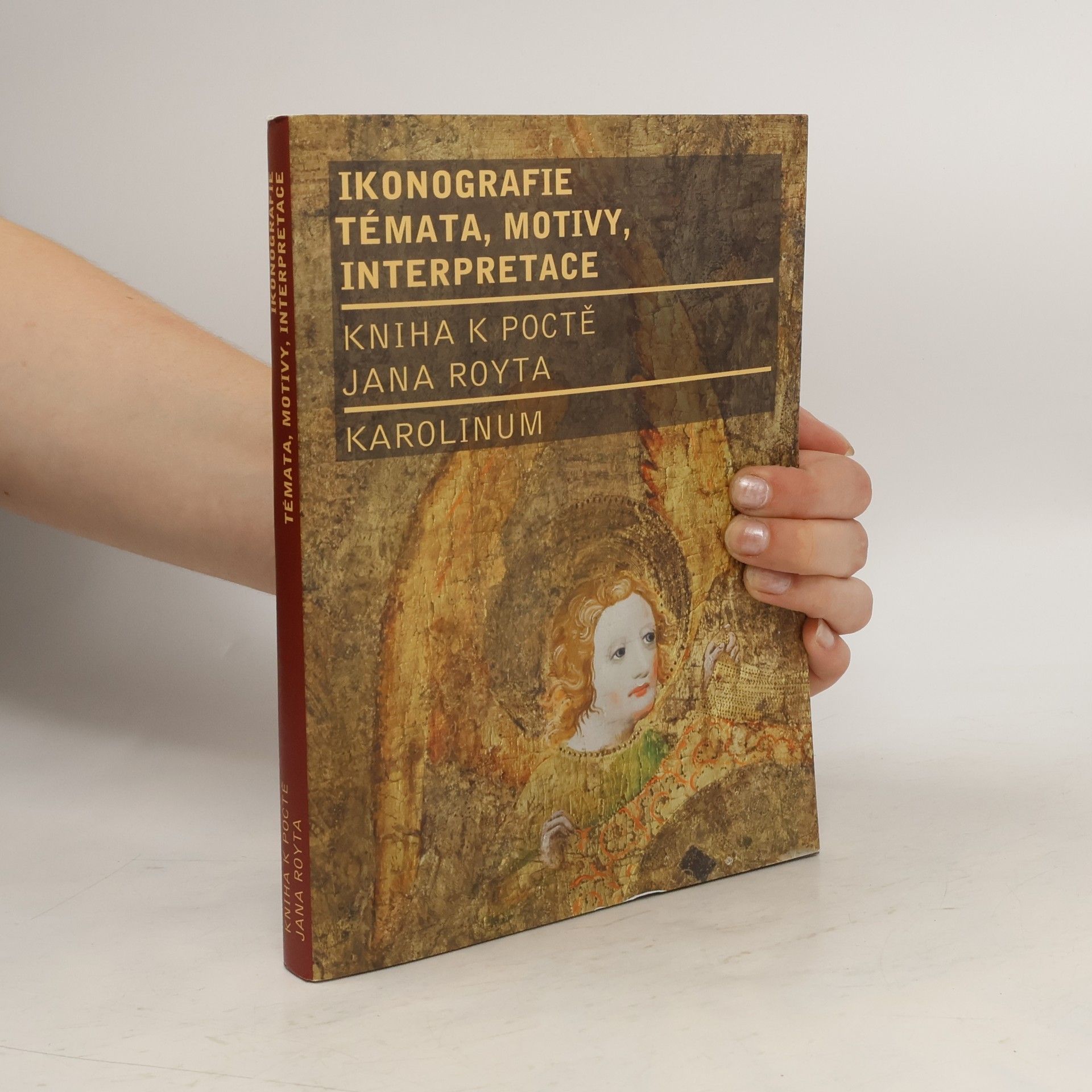 Collectif d'auteurs Ikonografie: témata, motivy, interpretace : kniha k poctě Jana Royta