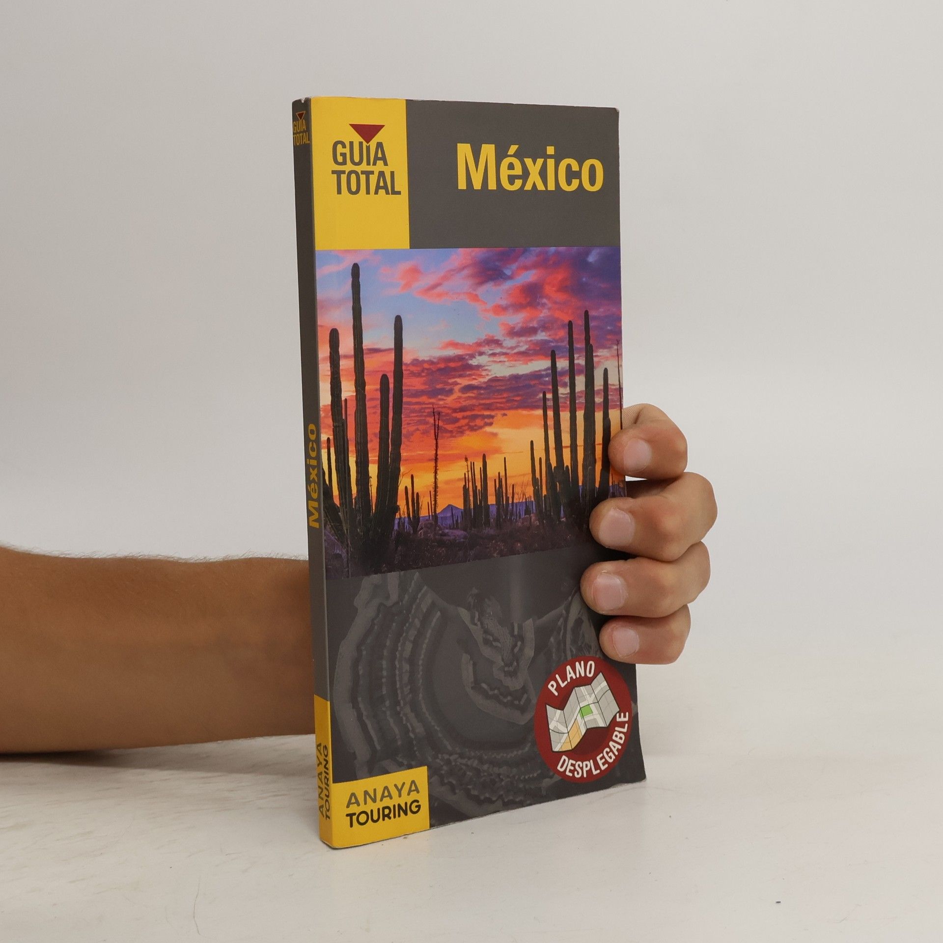 Collectif d'auteurs México