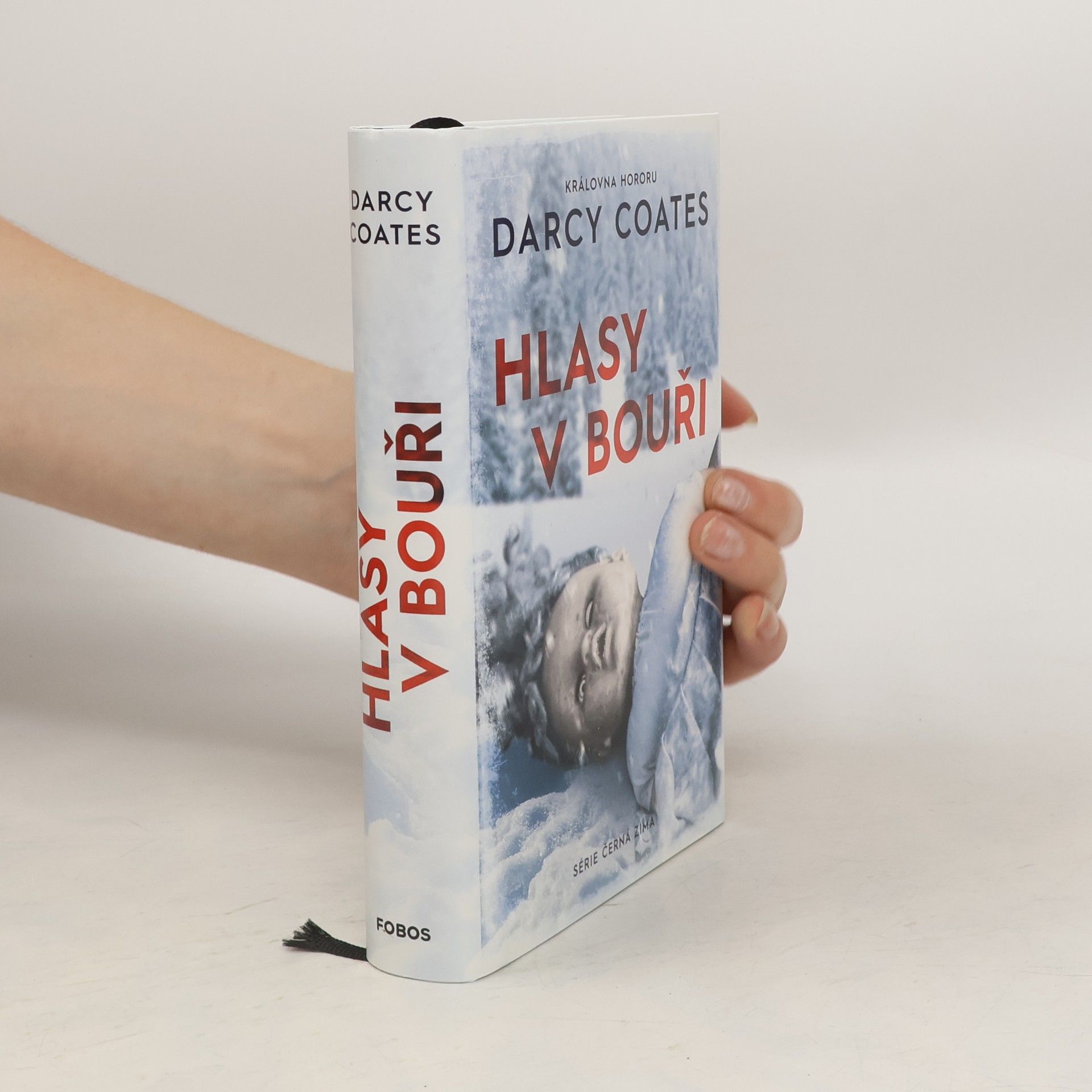 Darcy Coates Hlasy v bouři