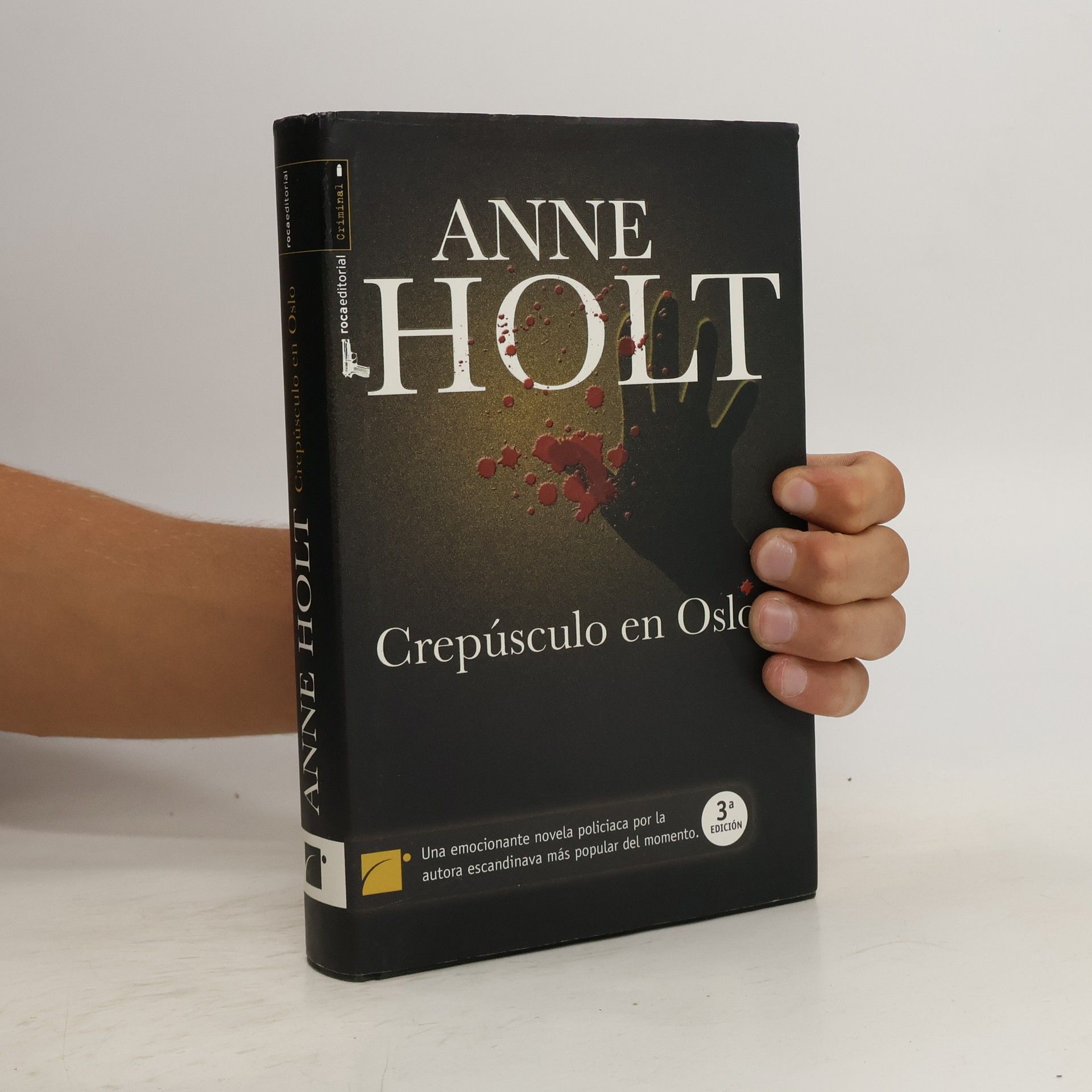 Anne Holt Crepúsculo en Oslo