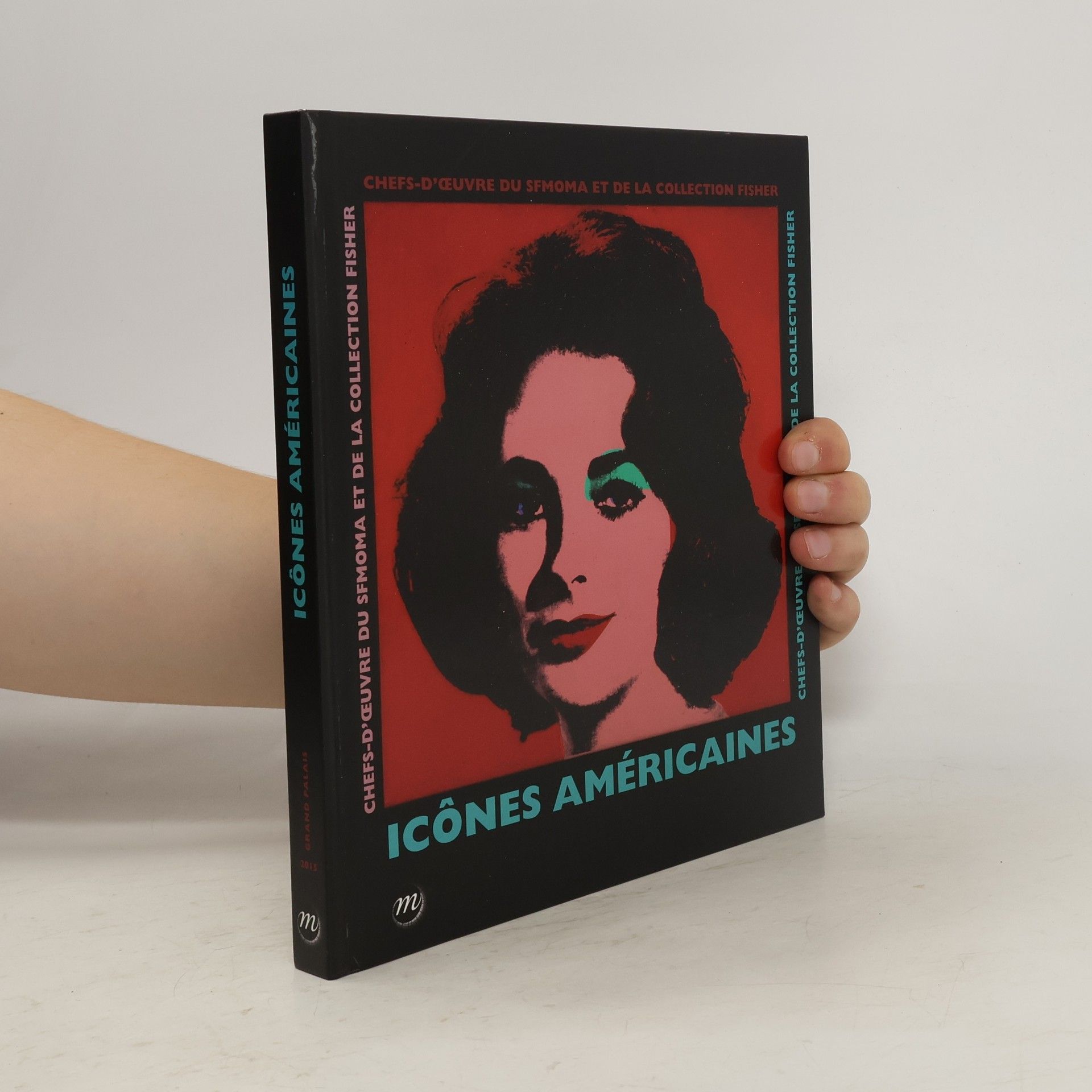Collectif d'auteurs Icônes américaines