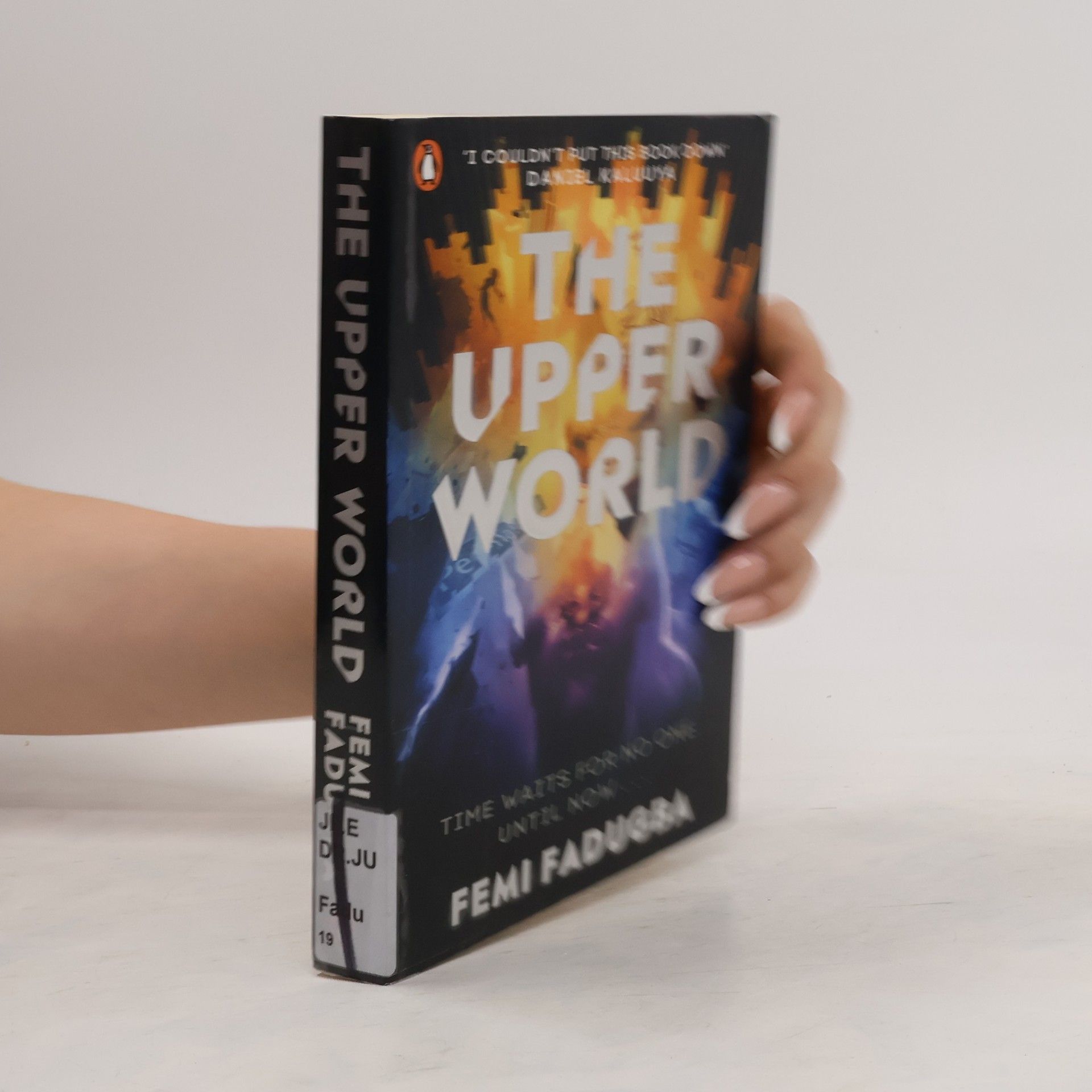 Femi Fadugba The Upper World
