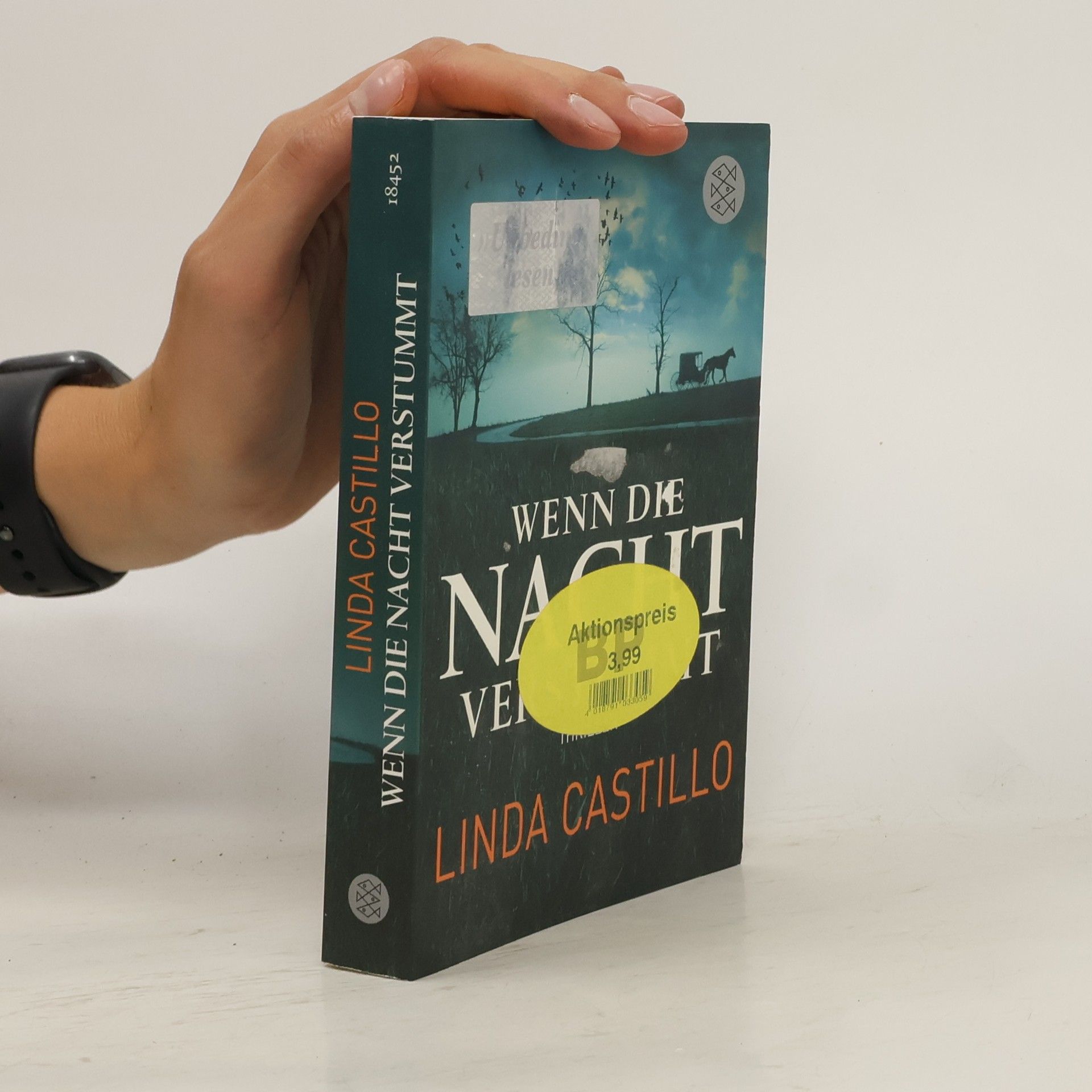 Linda Castillo Wenn die Nacht verstummt