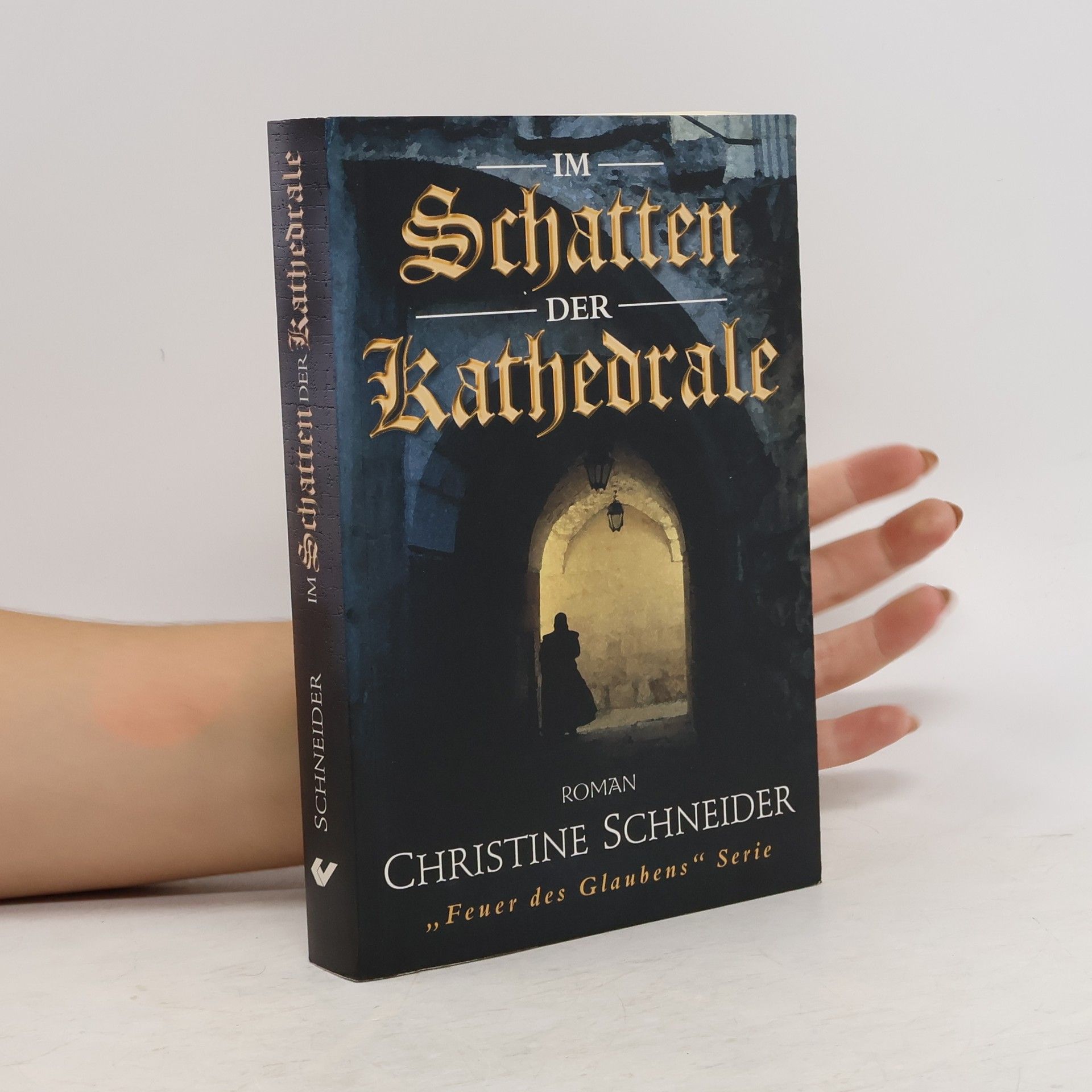 Christine Schneider Im Schatten der Kathedrale