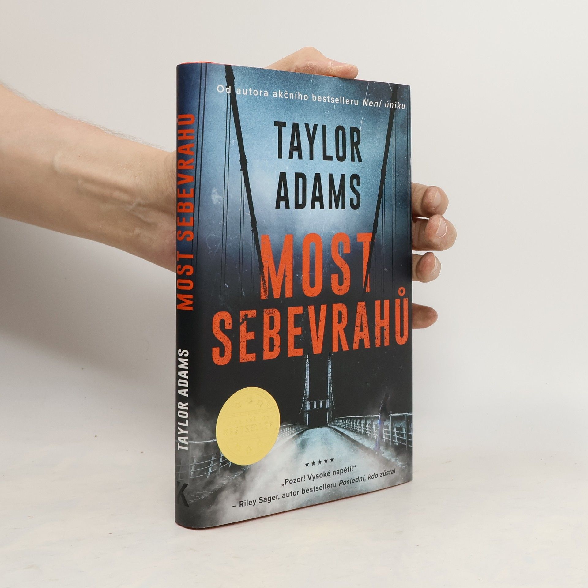Taylor Adams Most sebevrahů