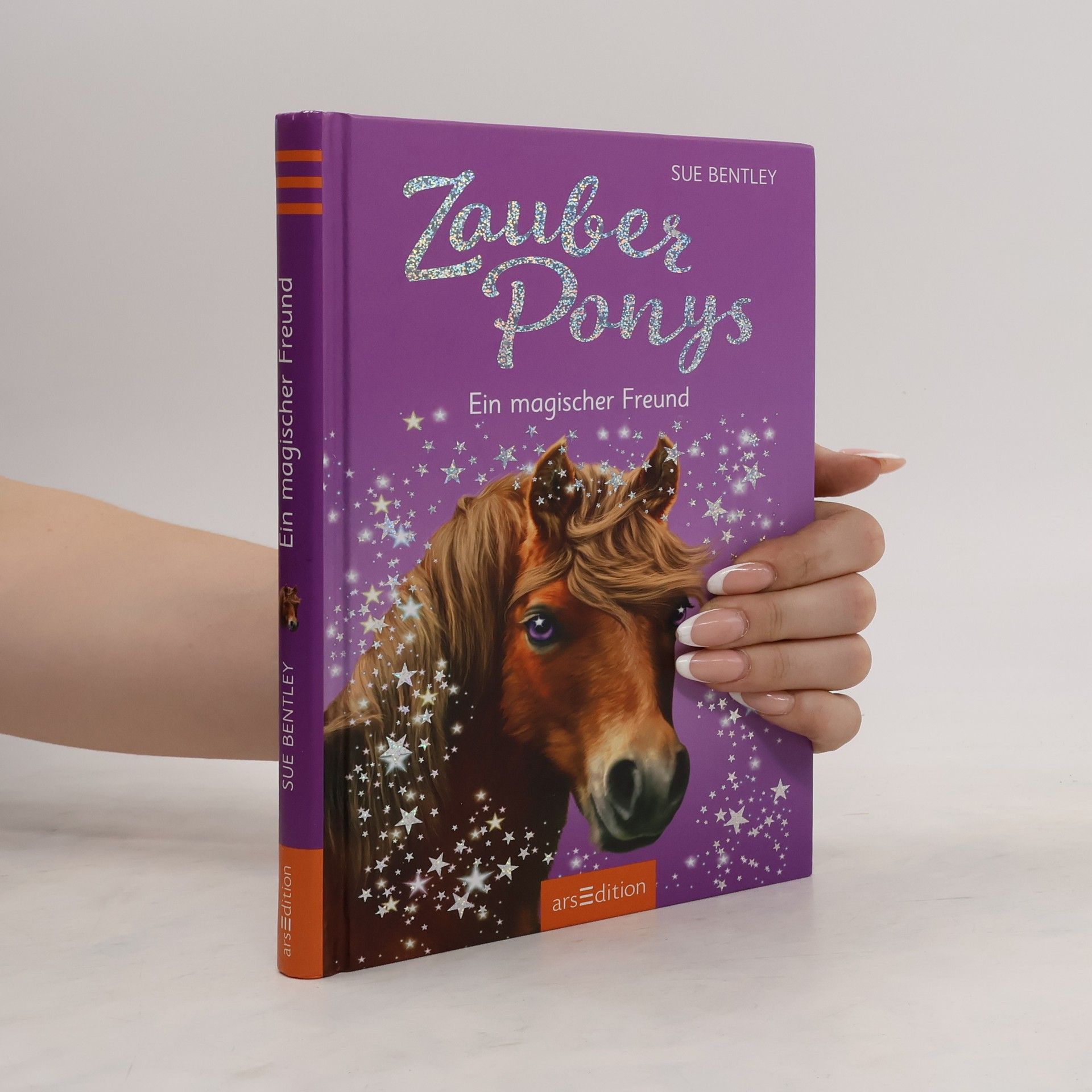 Sue Bentley Zauberponys - ein magischer Freund