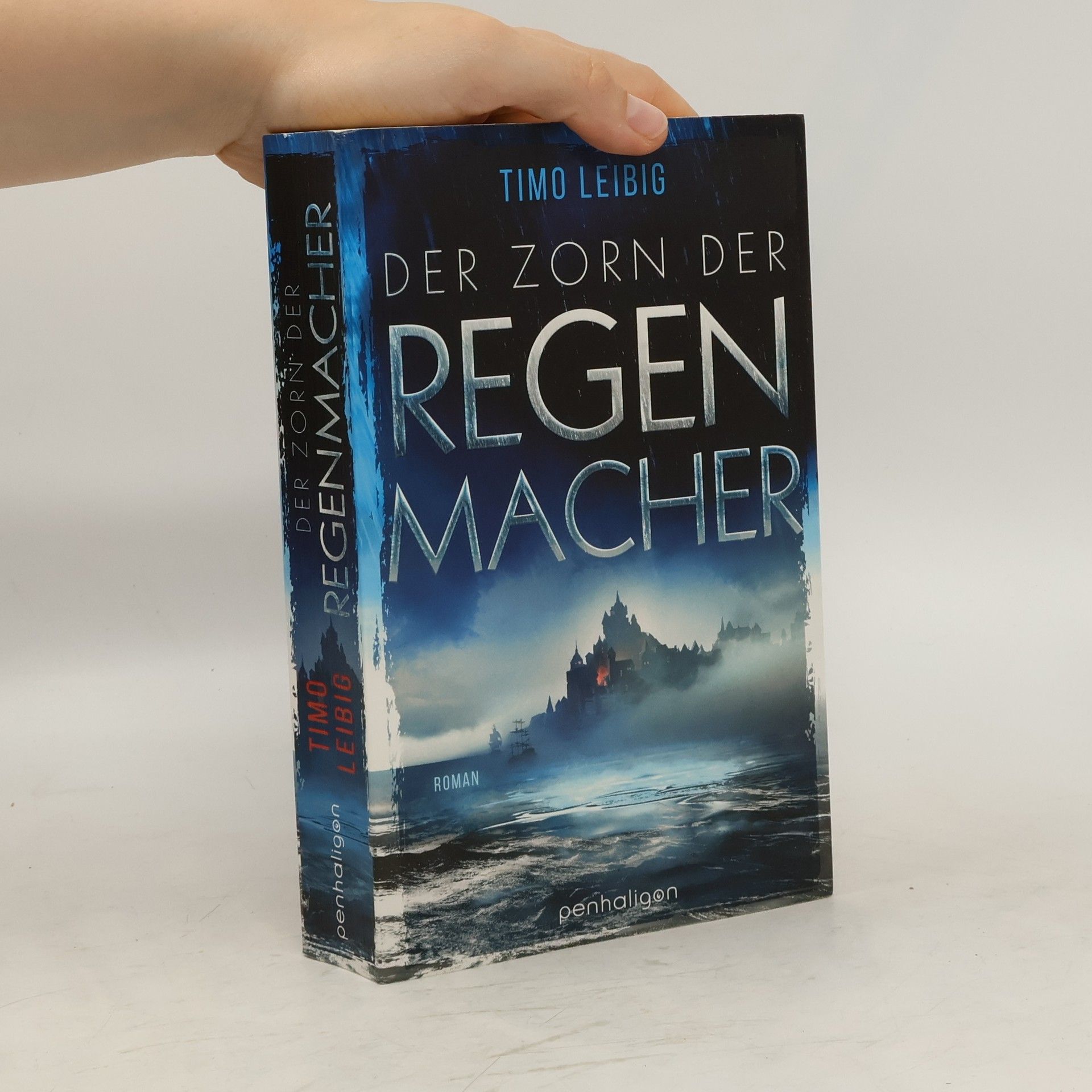 Timo Leibig Der Zorn der Regenmacher