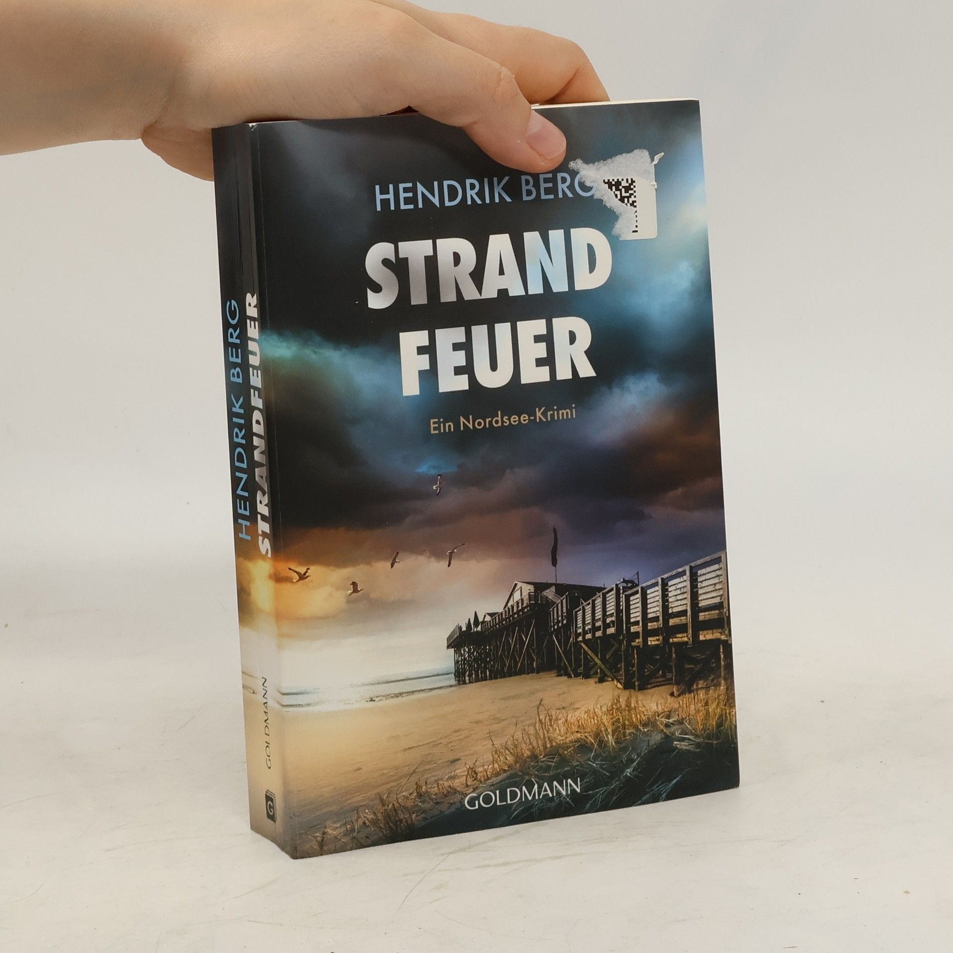 Hendrik Berg Strandfeuer